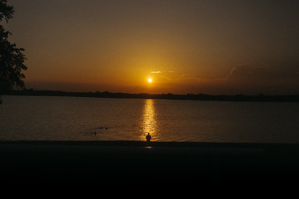 a sunset over a body of water with ducks swimming in it