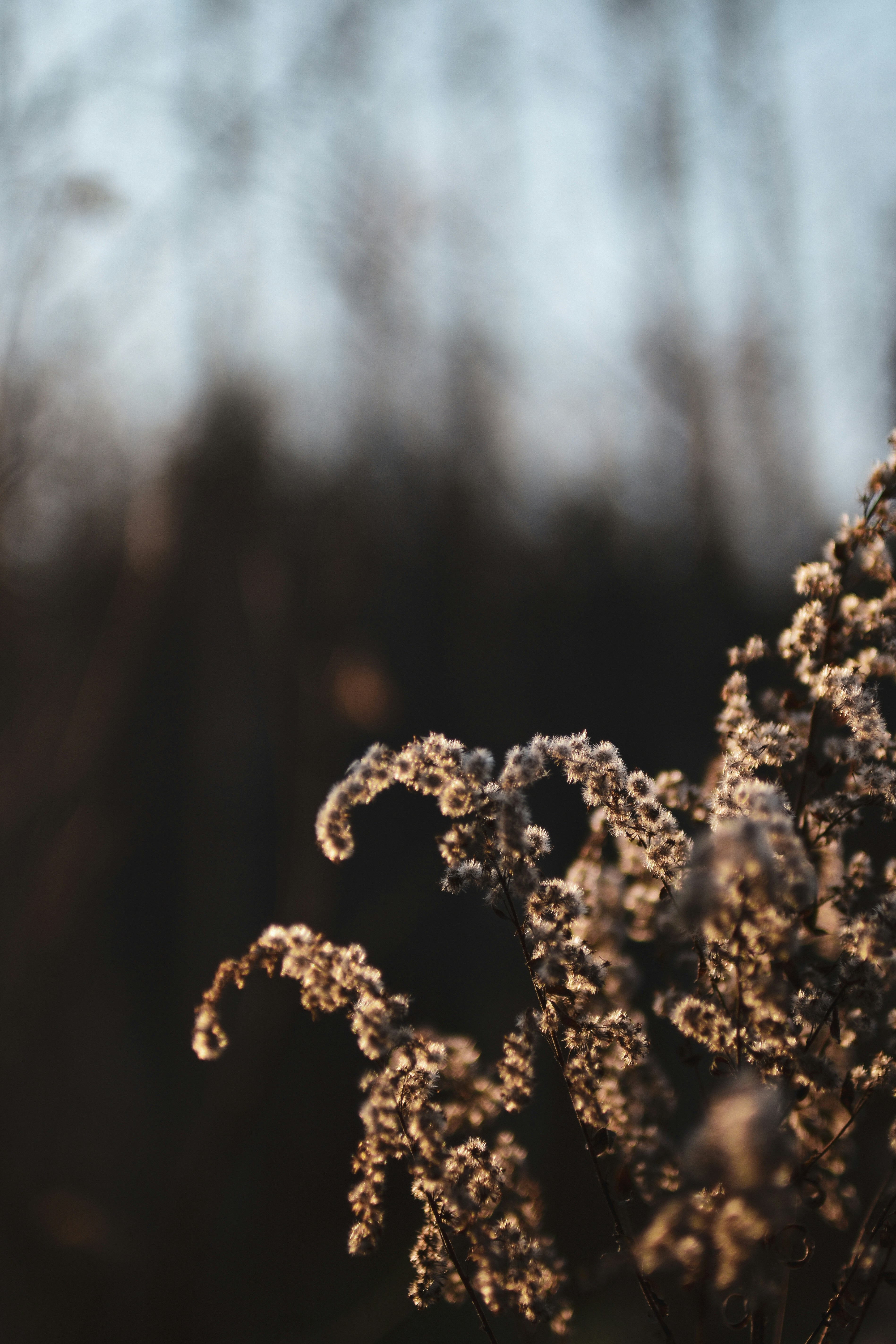 Photo by artem_makarov