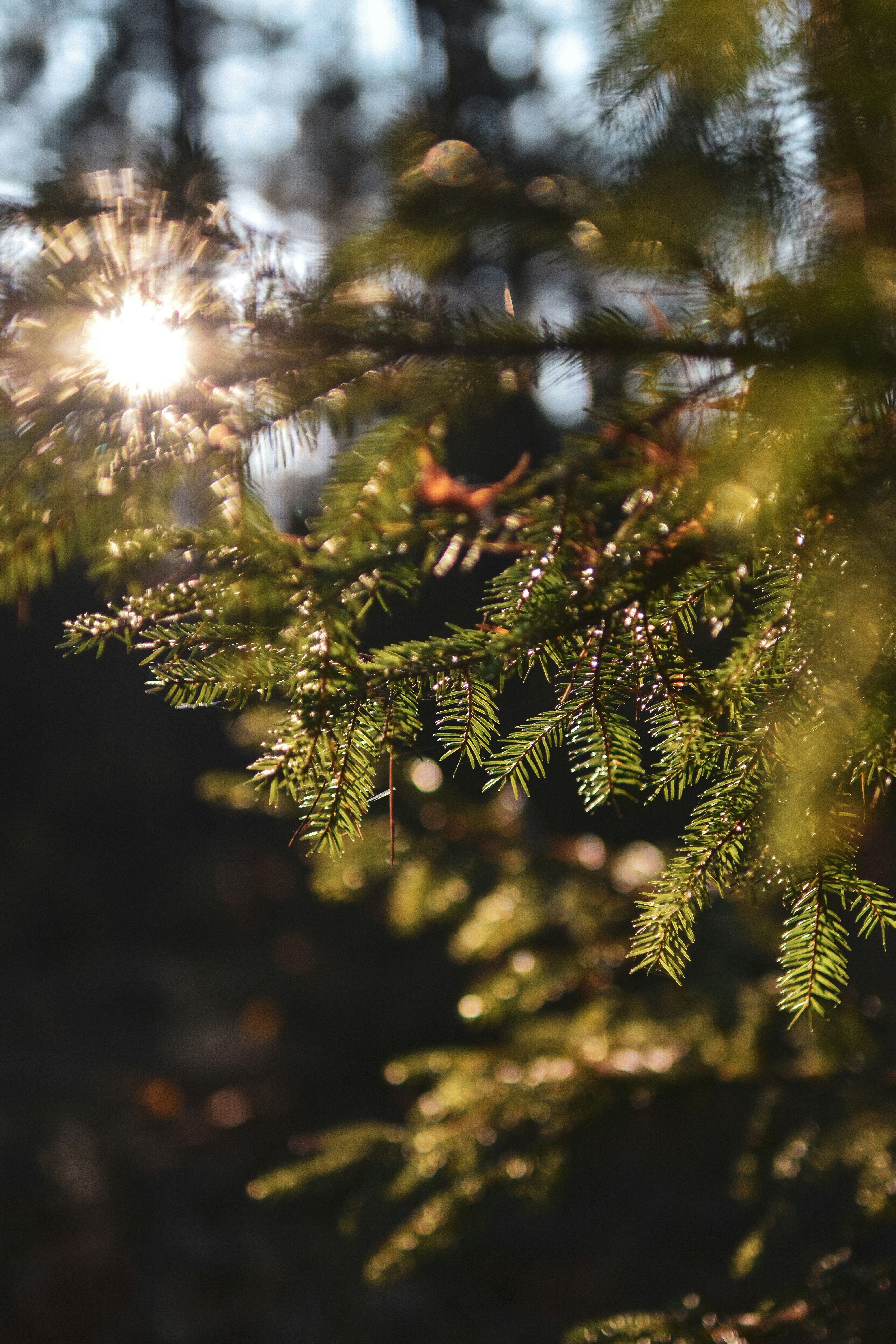 Photo by artem_makarov