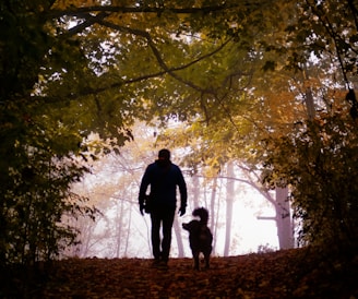 a man walking a dog through a forest