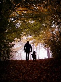 a man walking a dog through a forest