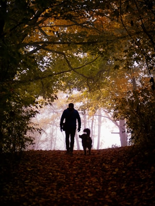 a man walking a dog through a forest