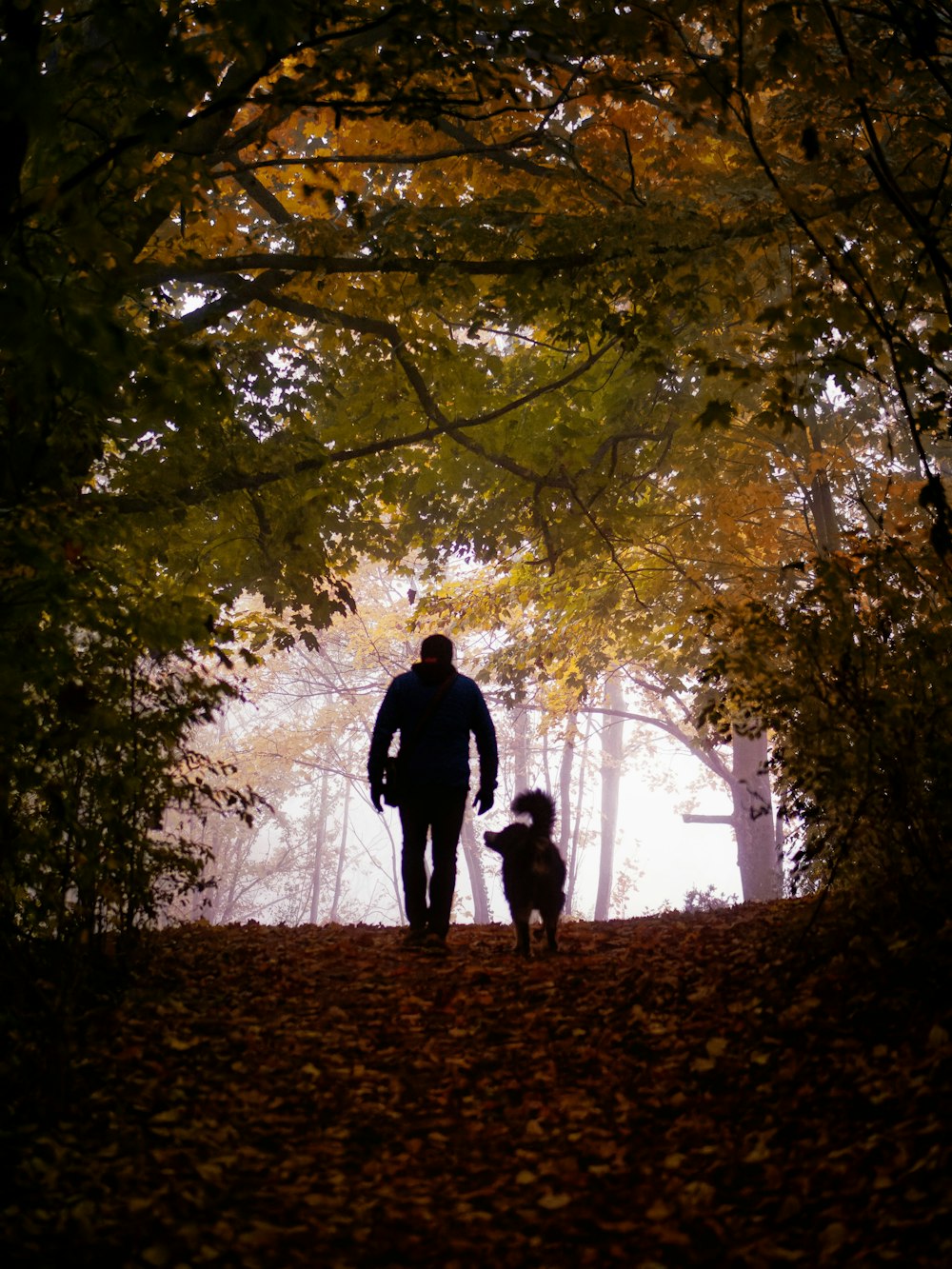 Ein Mann, der mit einem Hund durch einen Wald geht