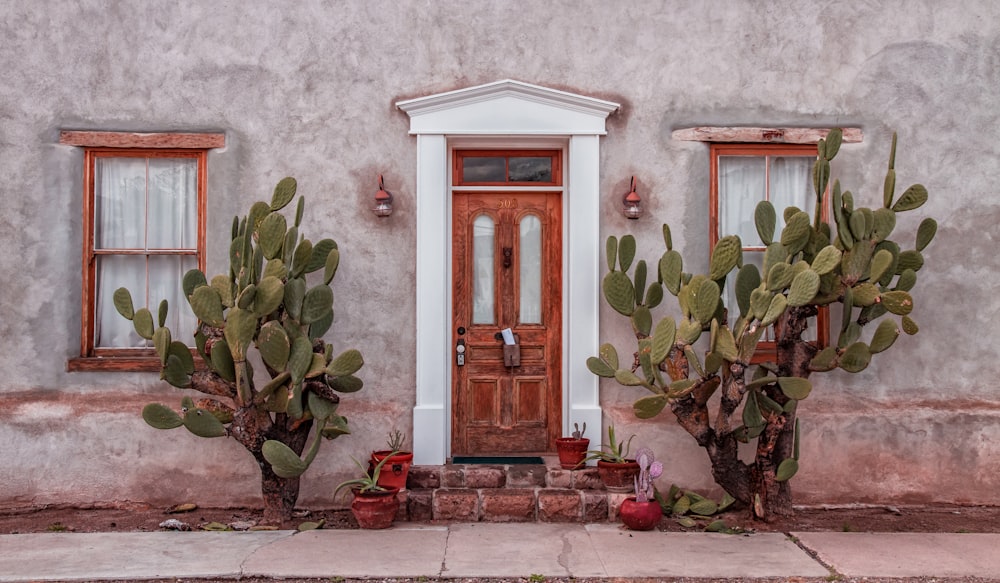 a house with a cactus in front of it