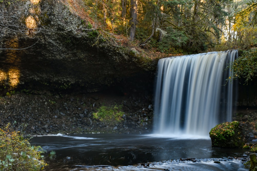 a waterfall in the middle of a forest