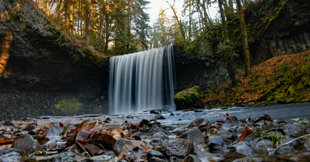 a waterfall in the middle of a forest