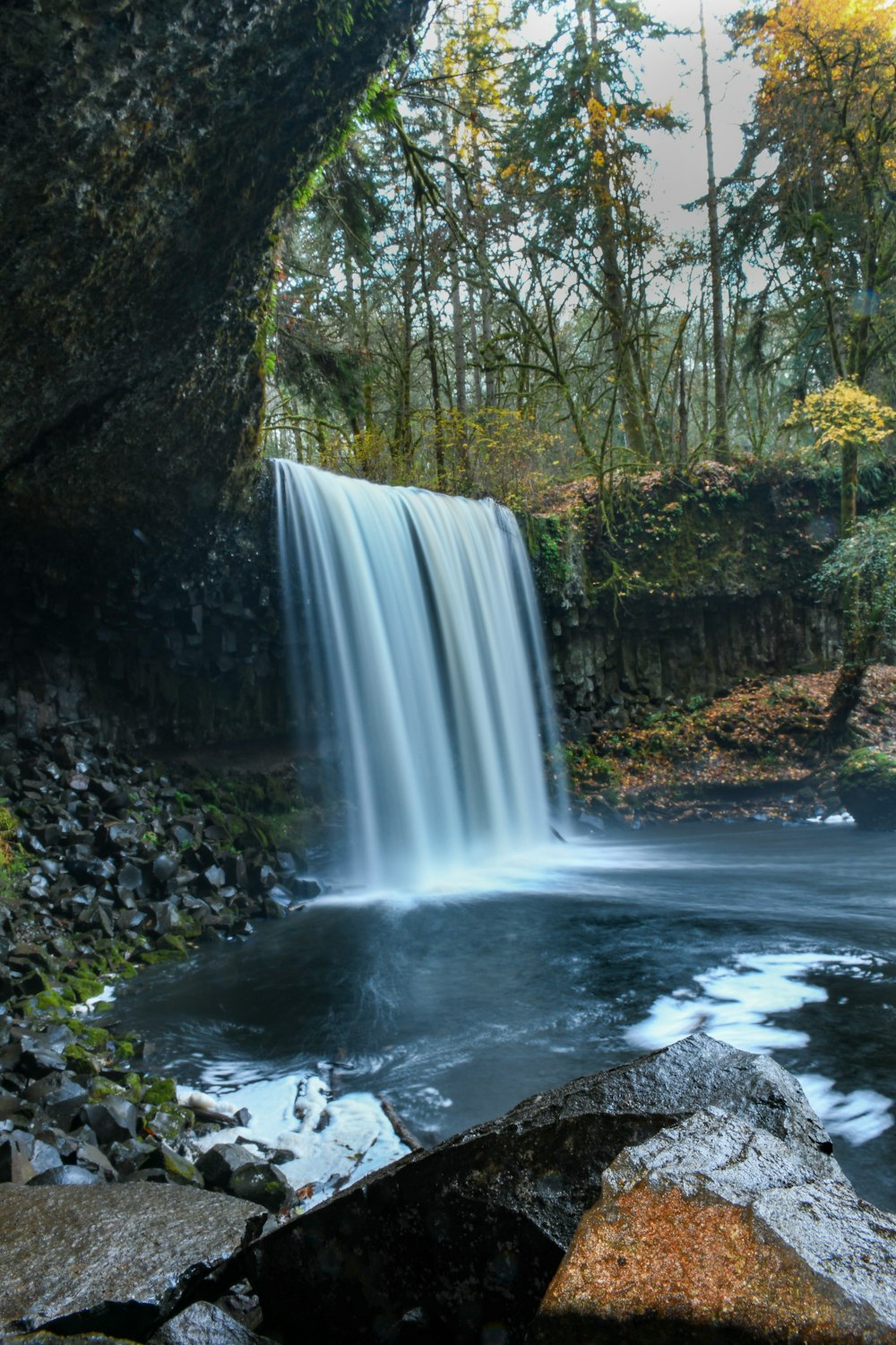 a small waterfall in the middle of a forest