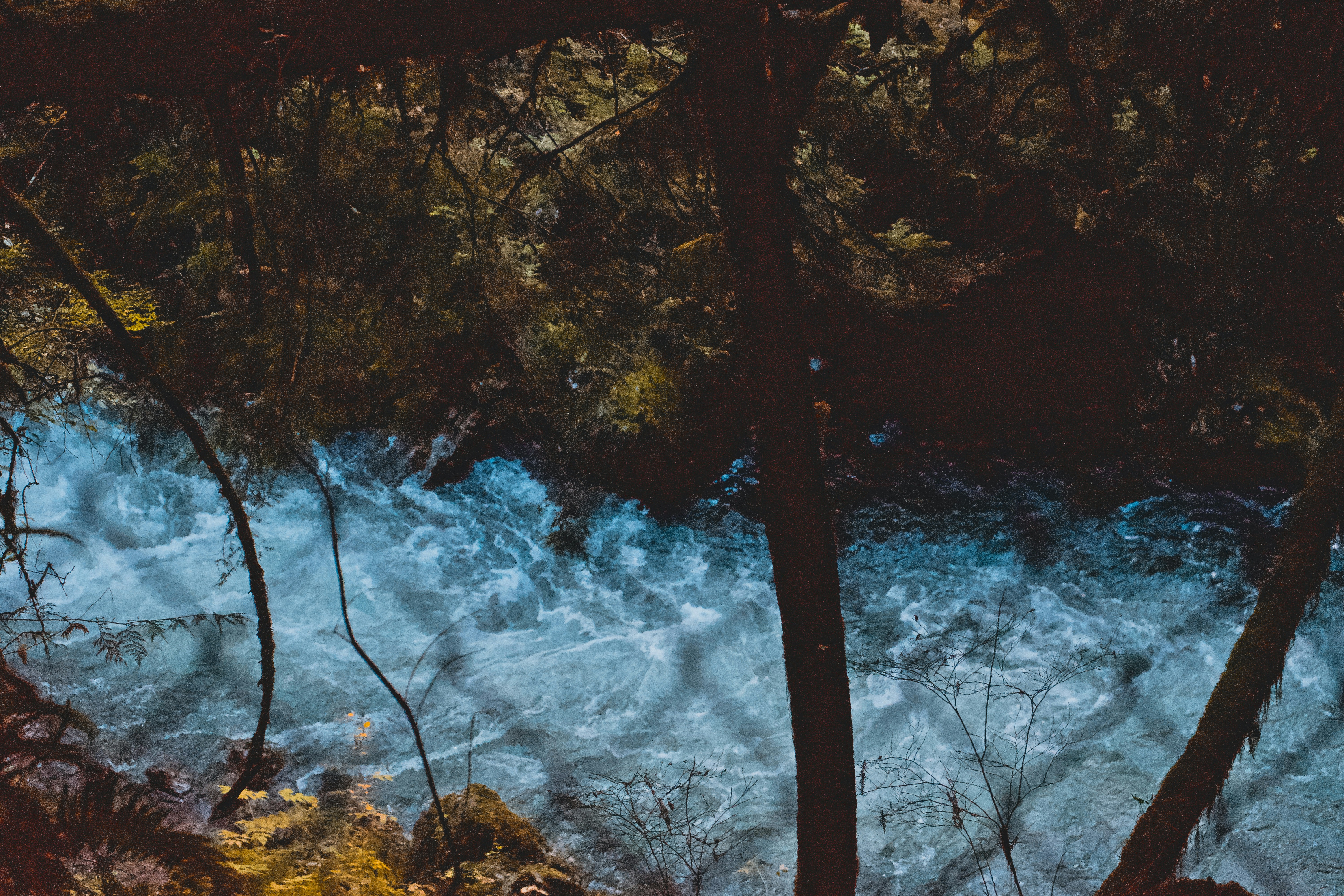 Photo by colefreeman