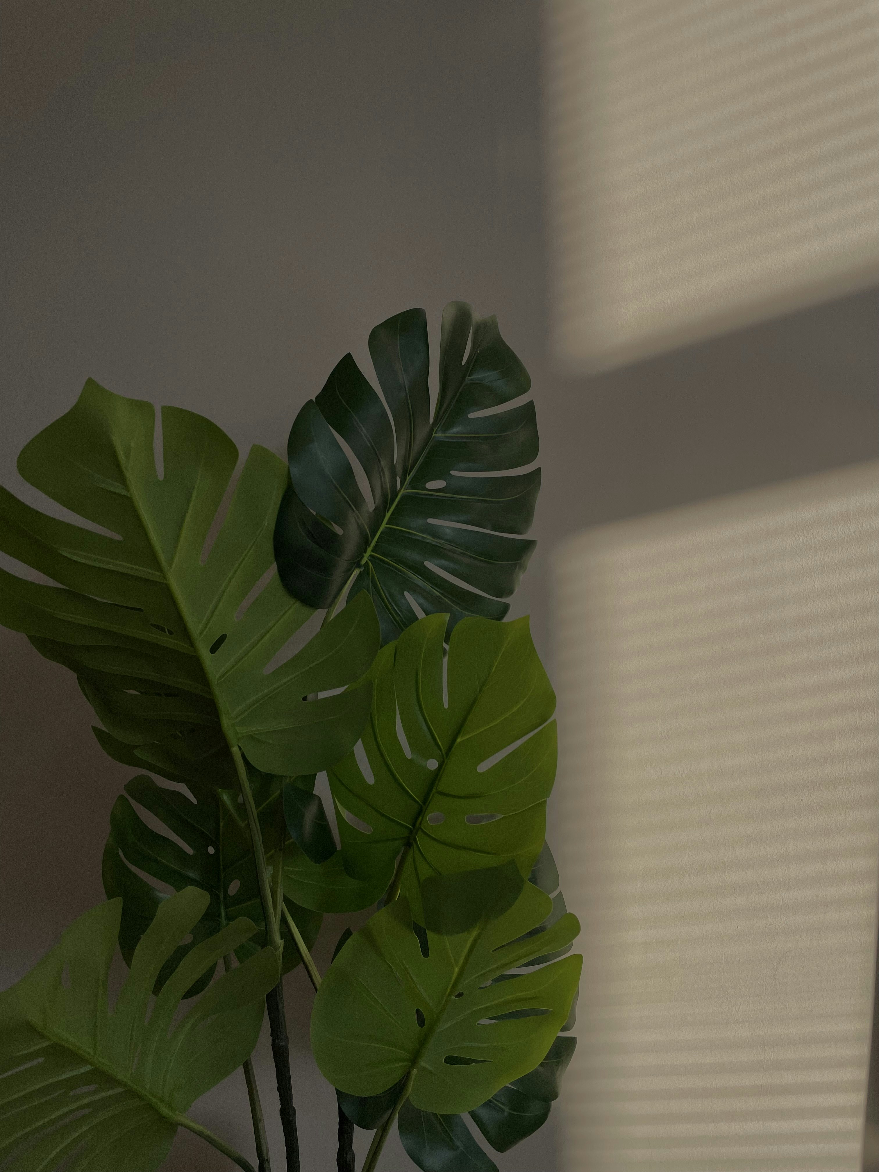 Photo by nadiarudenko