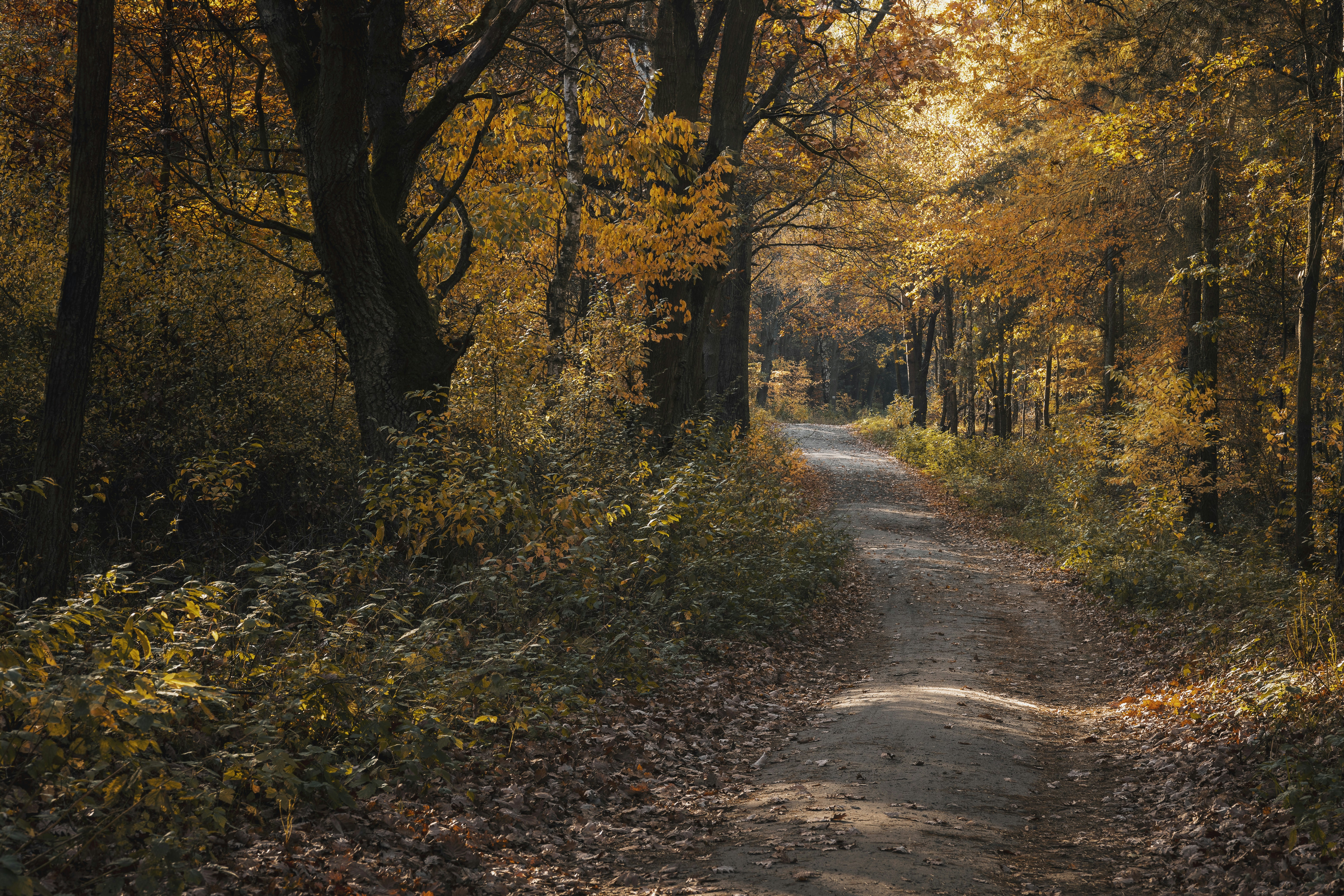 Photo by victor_vector