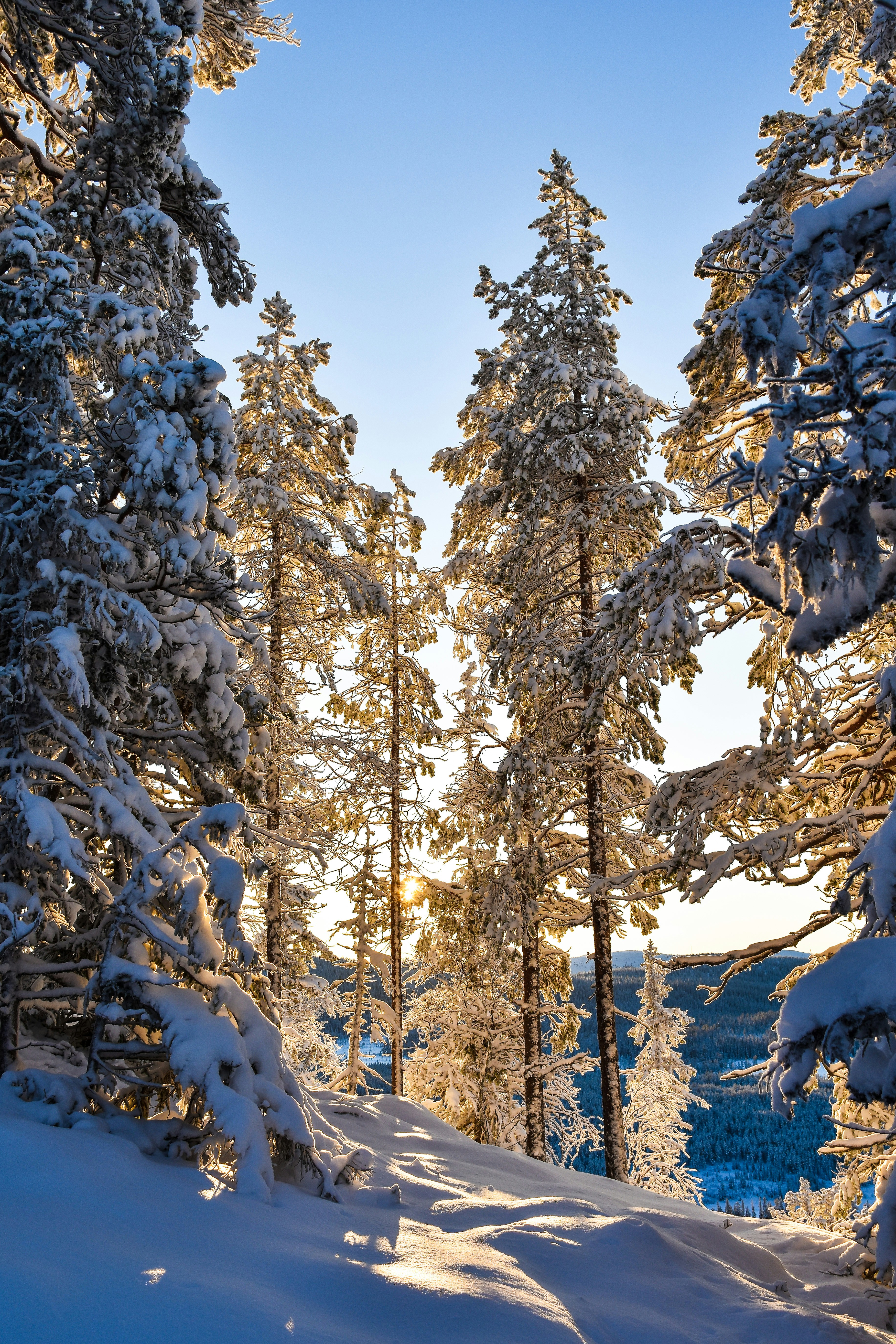 Photo by niklasjonasson