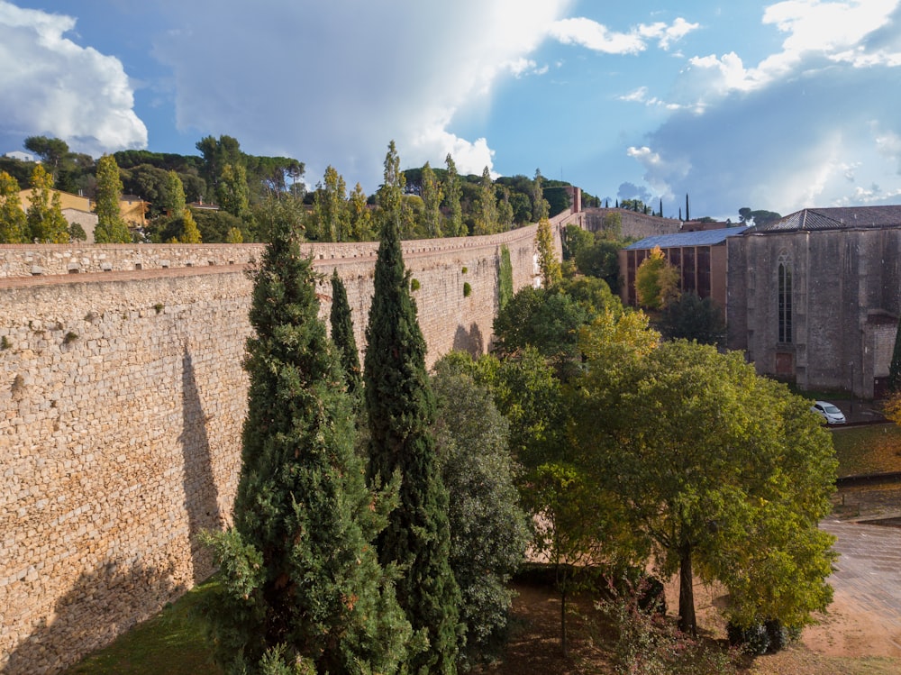 una vista di un muro di pietra con alberi in primo piano