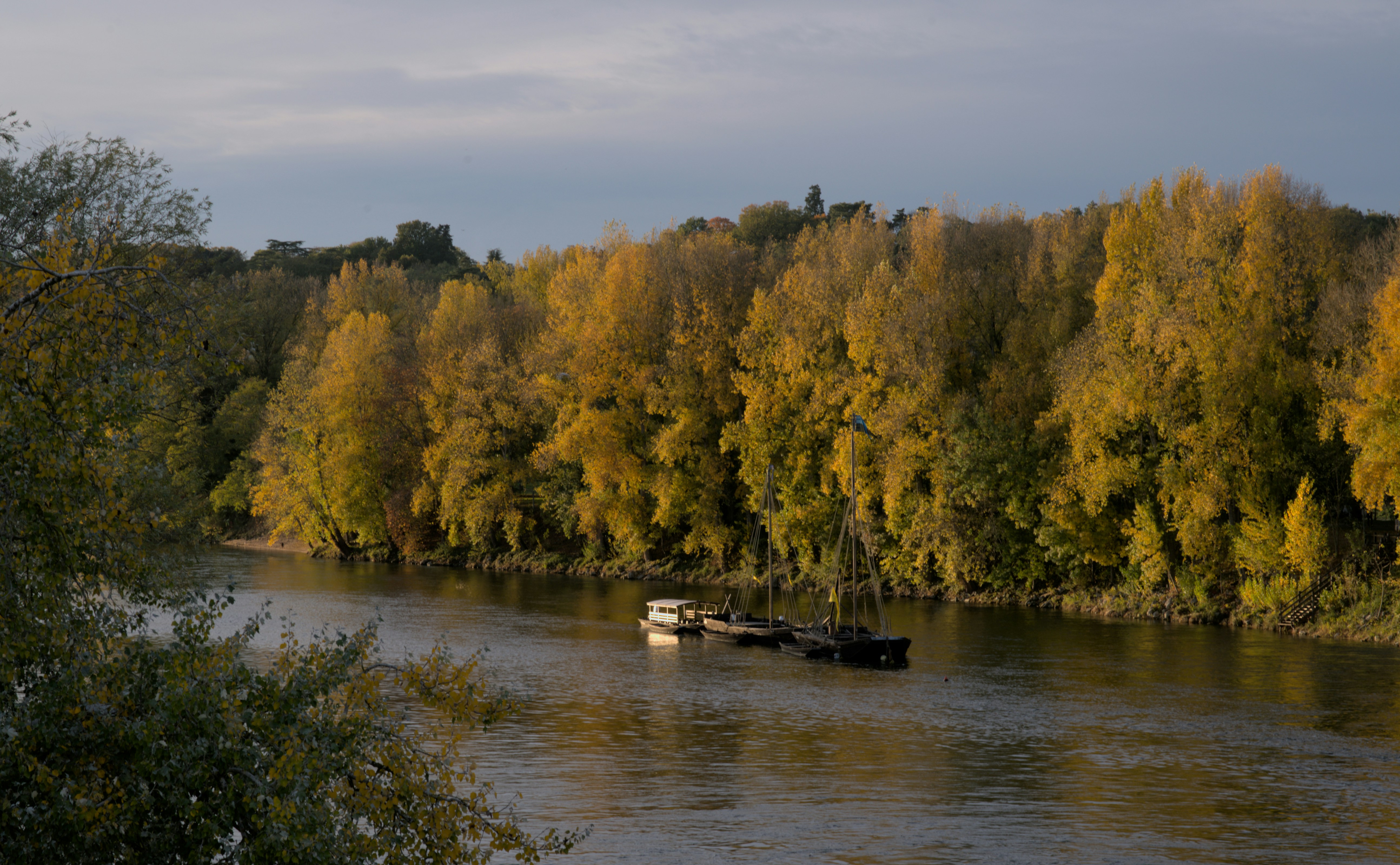 un bateau qui tire deux gabares sur une rivière les arbres sont oranges c'est l'automne