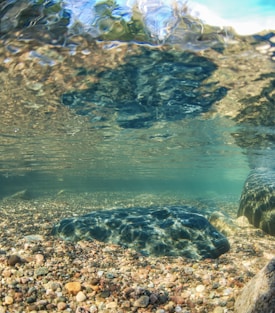 A serene underwater scene featuring a rocky riverbed with smooth stones and pebbles. The water is clear, allowing sunlight to create rippling reflections on the submerged rocks. The blurring effect of the water's surface adds a dreamy quality to the upper part of the image.
