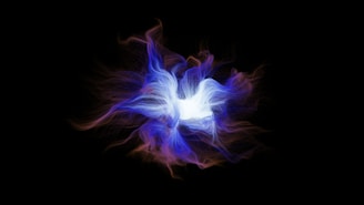 a blue and white flower on a black background