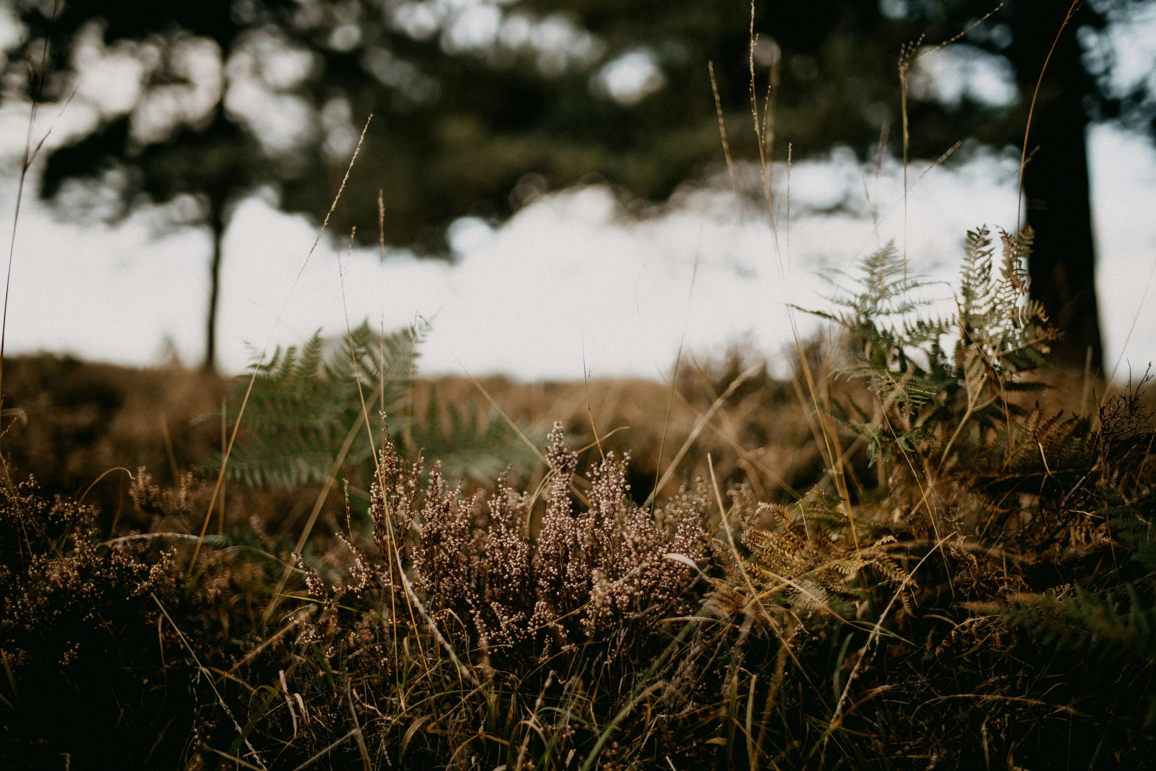 Photo by anniespratt