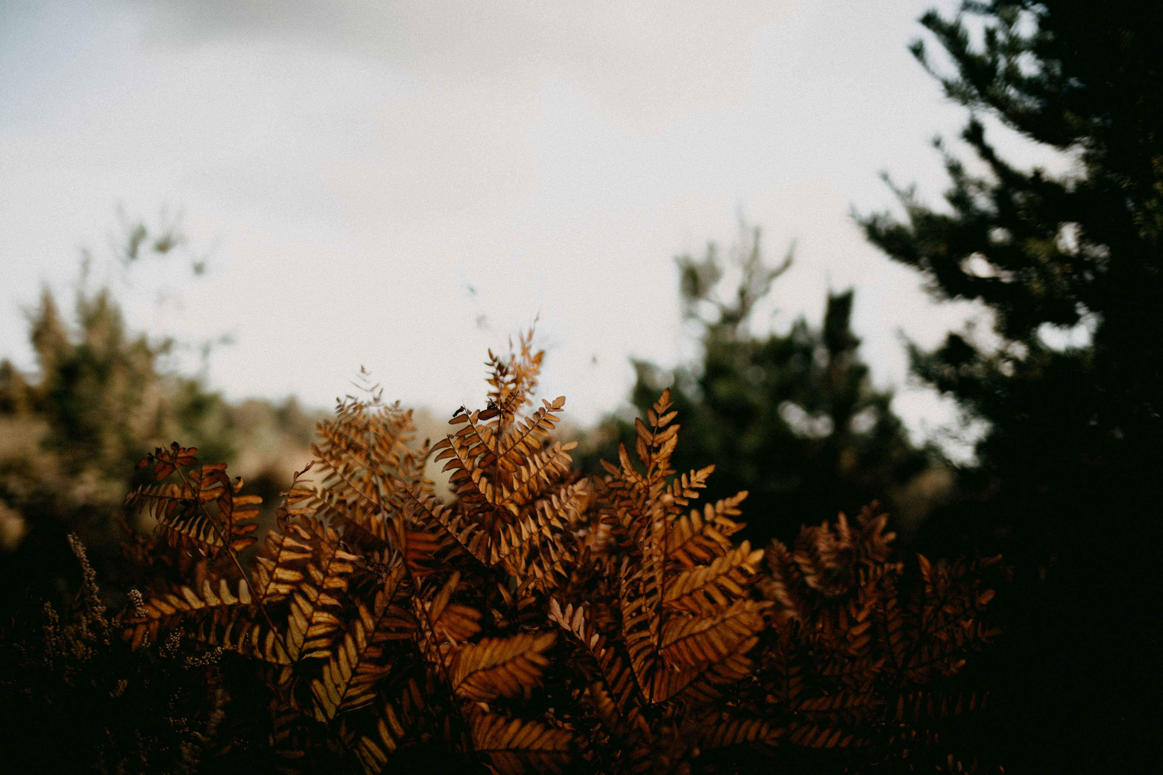 Photo by anniespratt