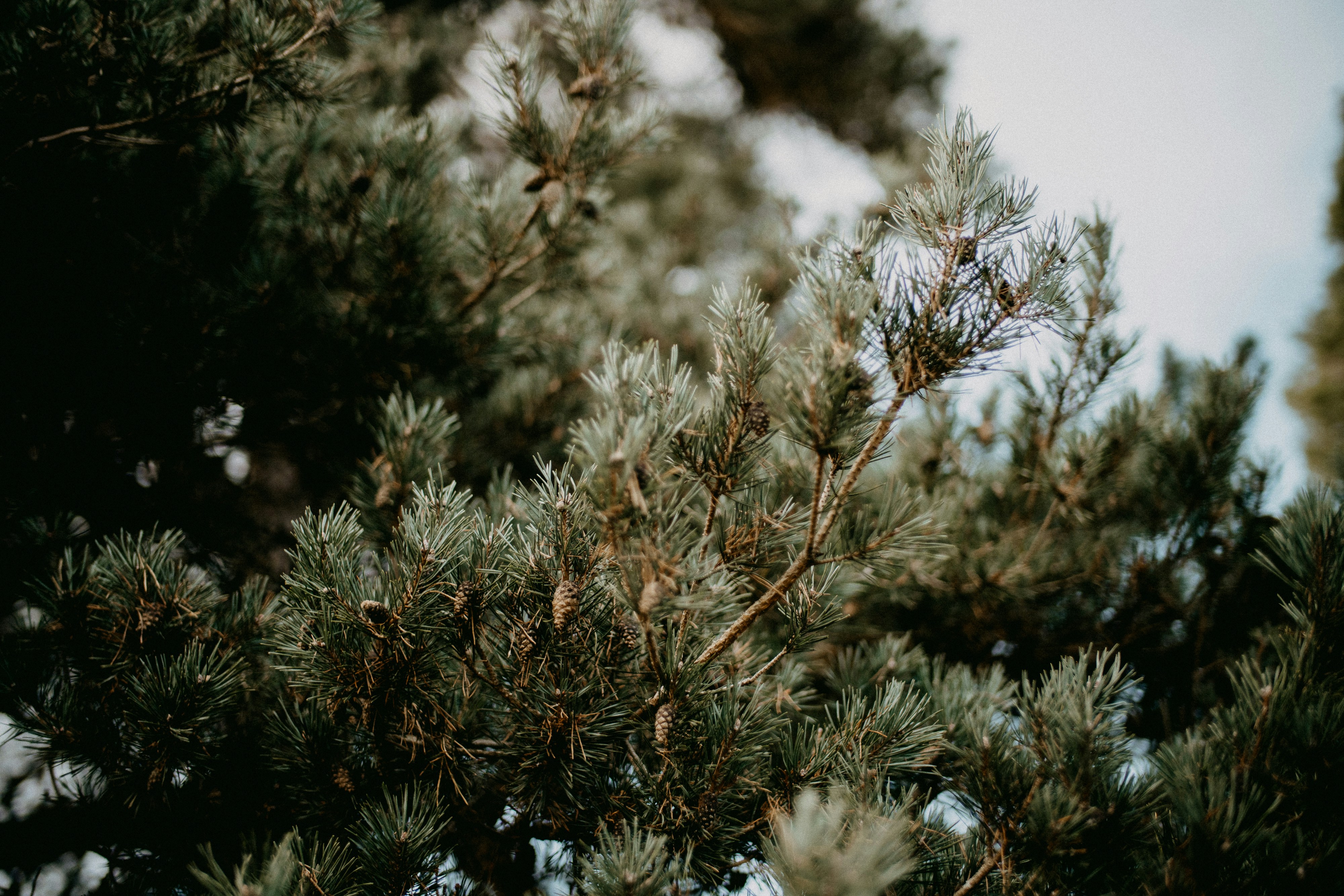 Photo by anniespratt