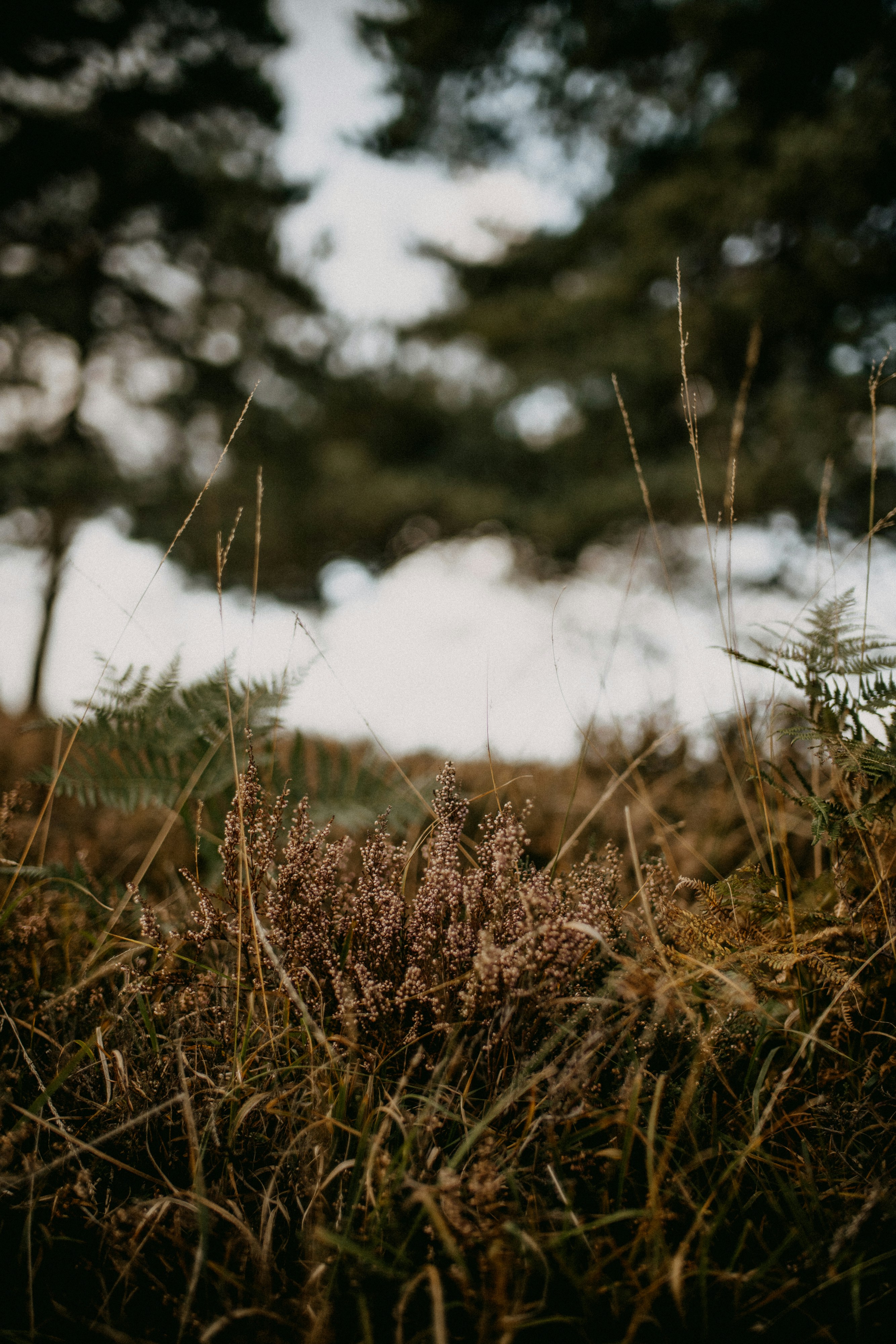 Photo by anniespratt