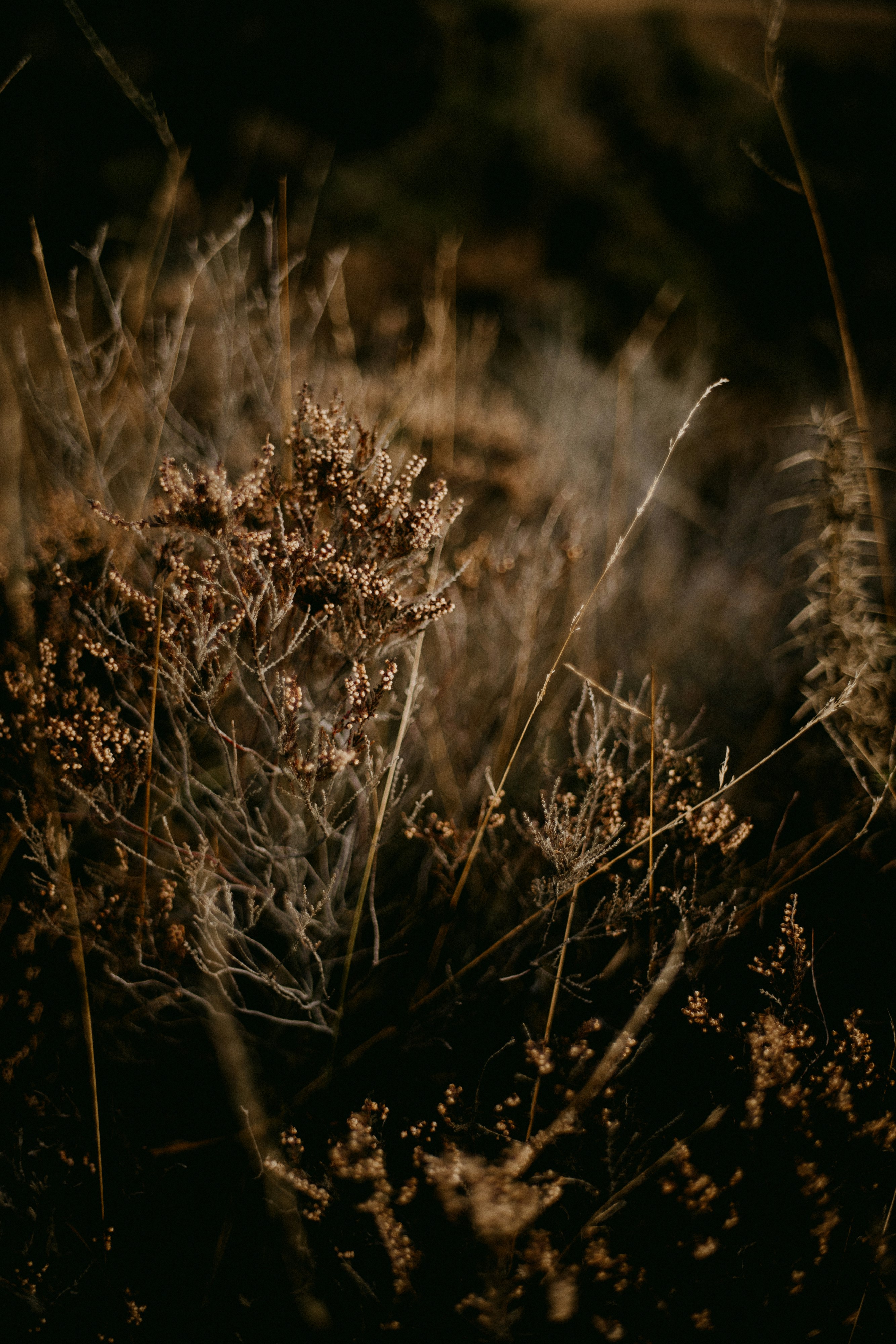 Photo by anniespratt