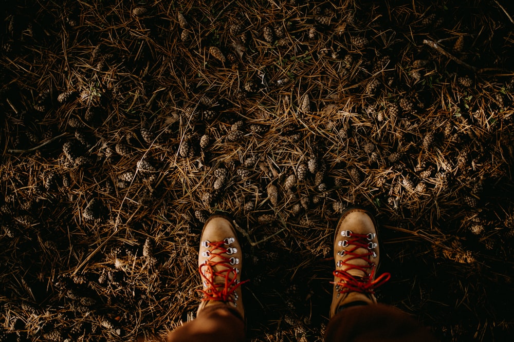 靴を履いて草の中に立っている人