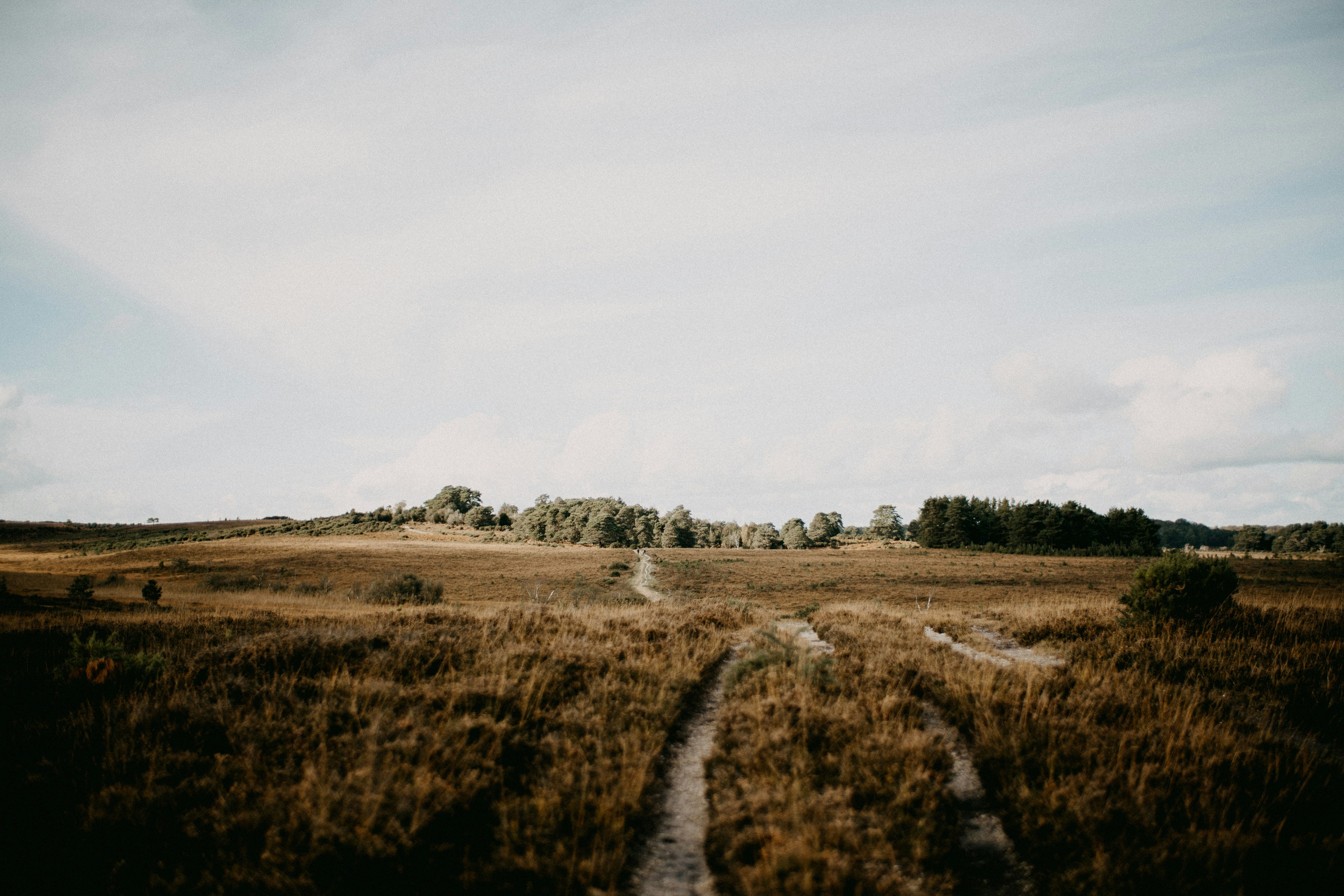 Photo by anniespratt