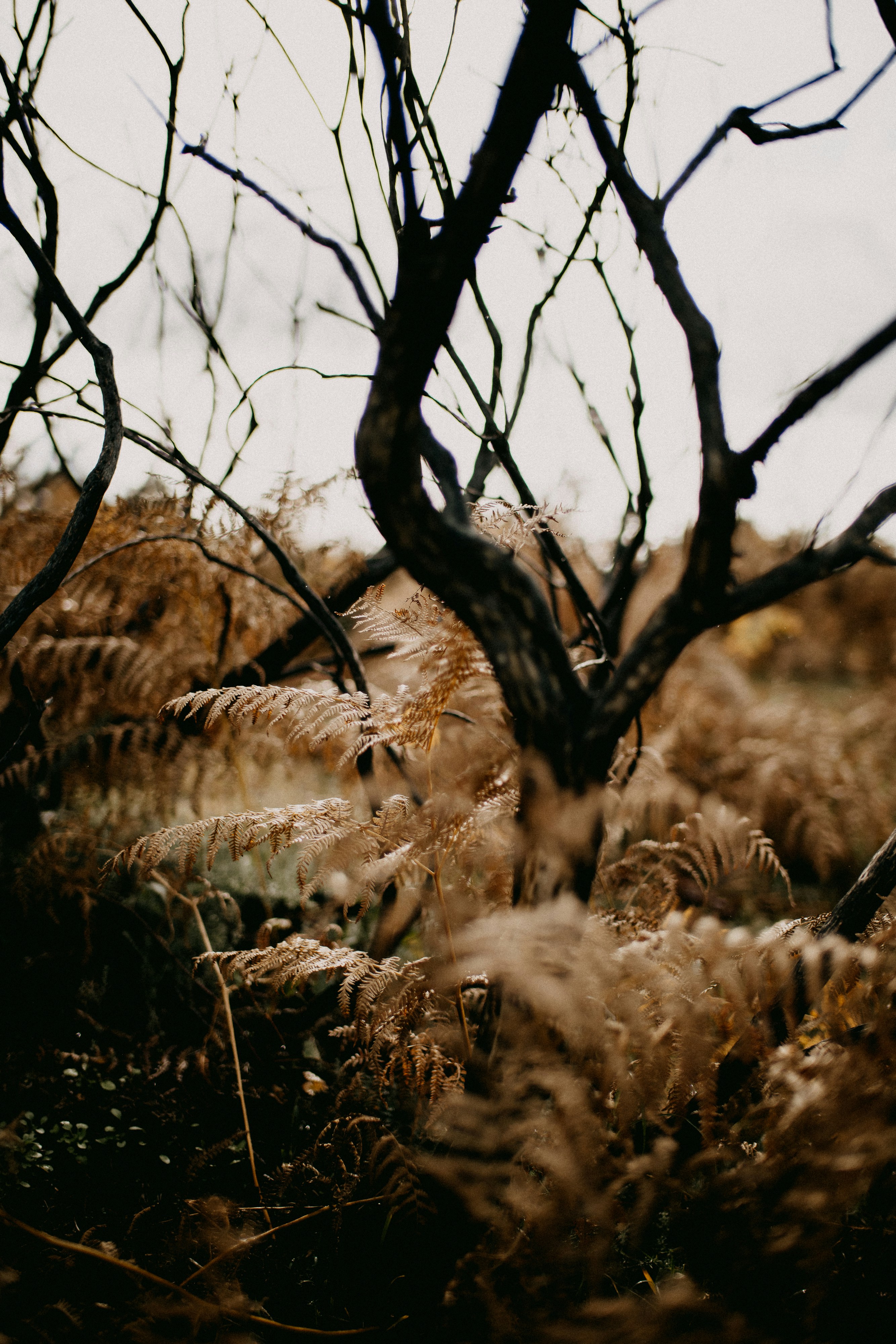 Photo by anniespratt