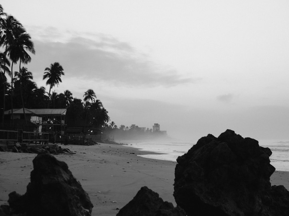a black and white photo of a beach with palm trees