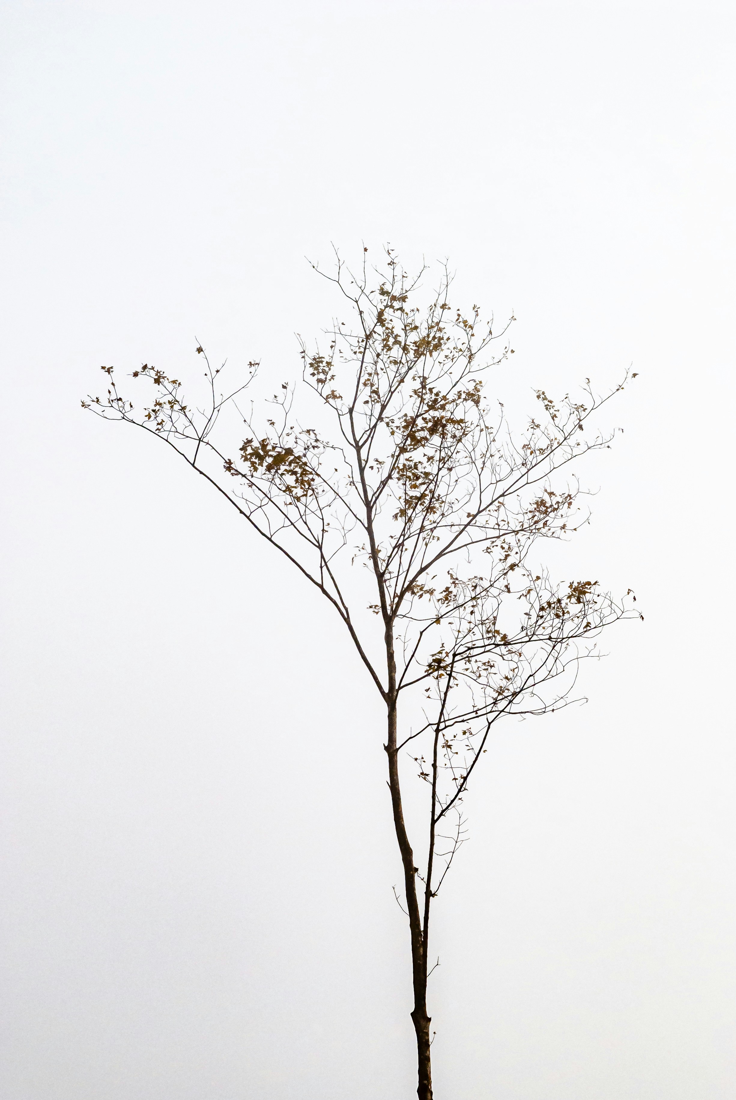 Photo by marcel_eberle