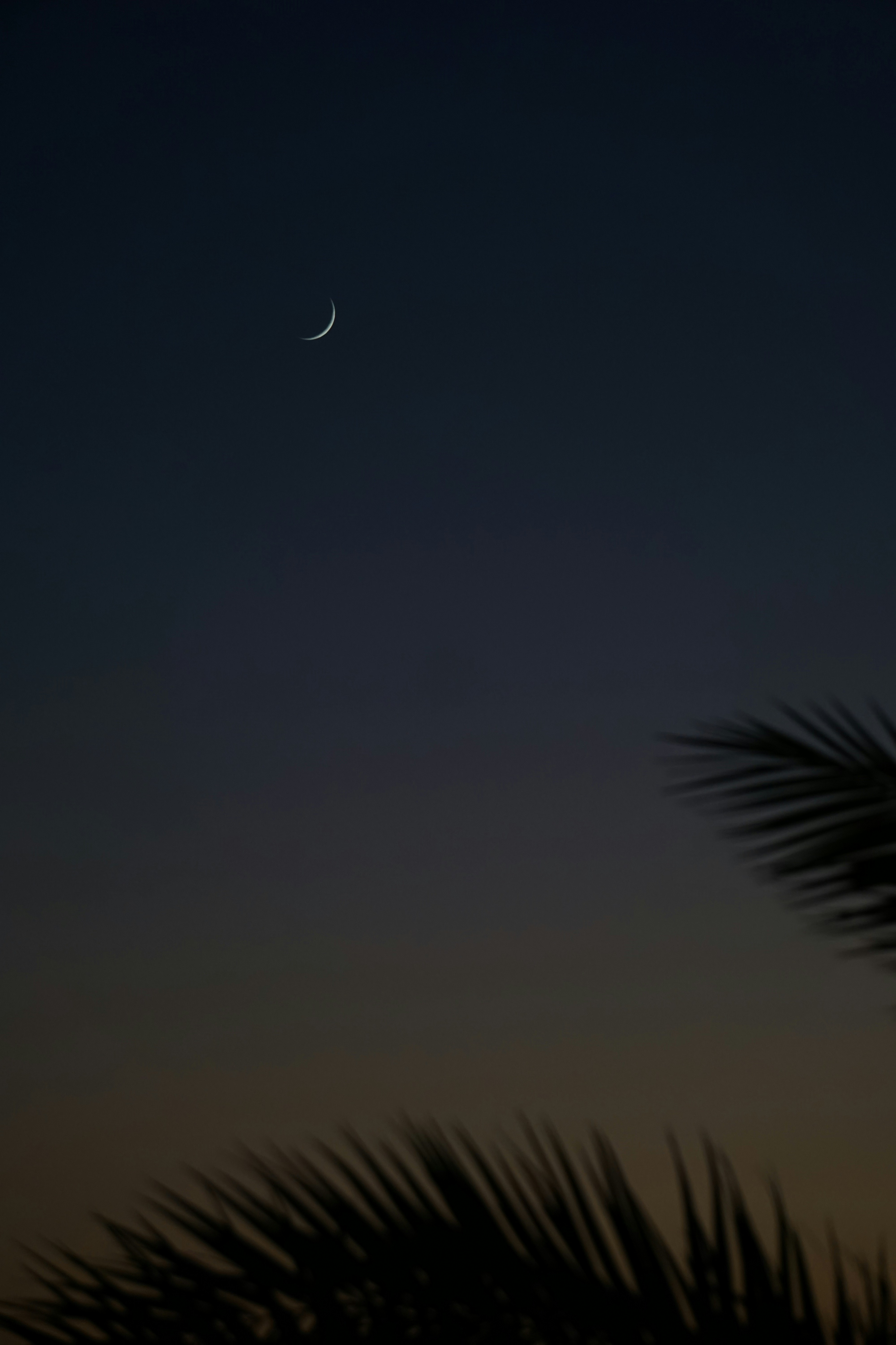 Photo by sandertraa