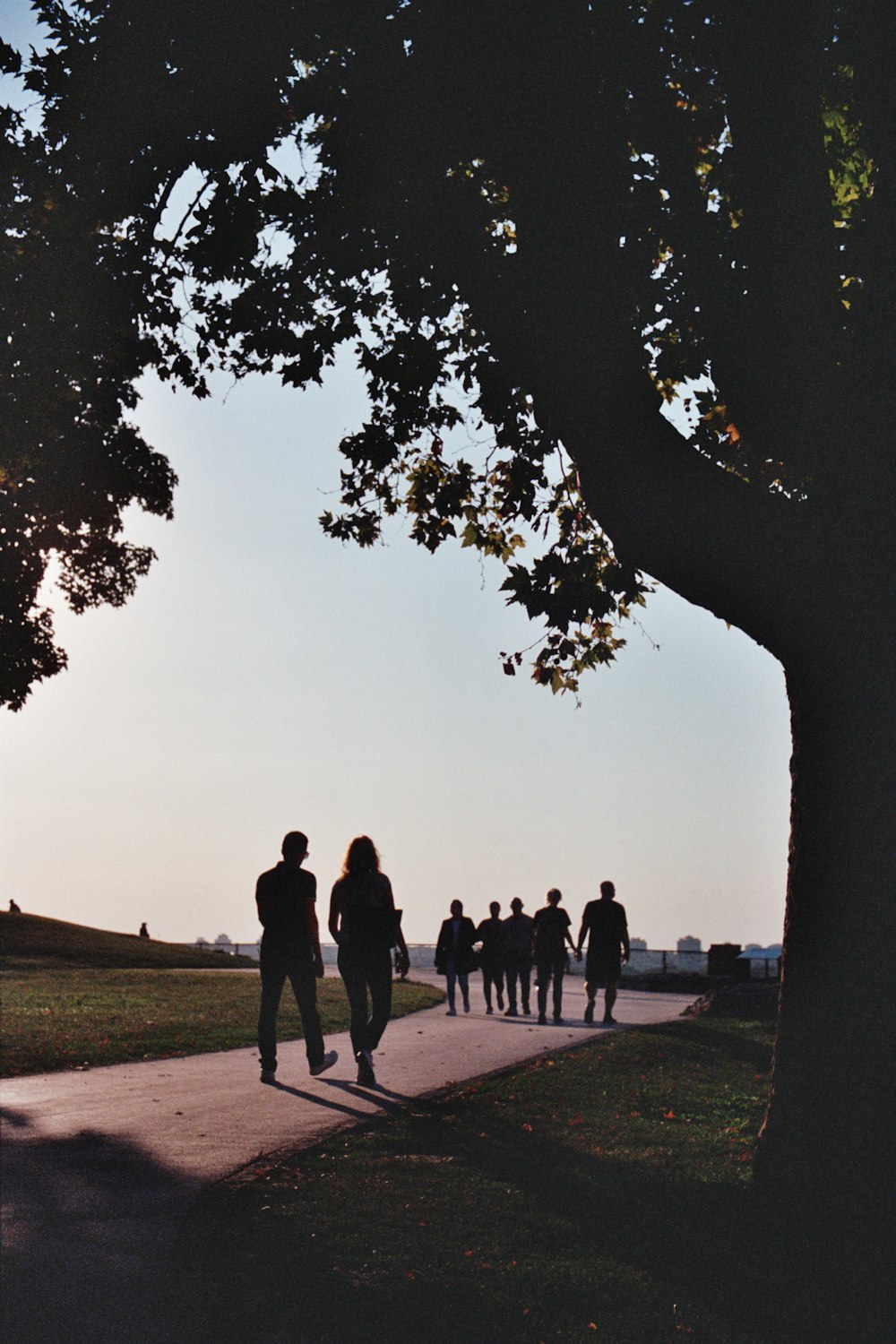 a group of people walking down a sidewalk next to a tree