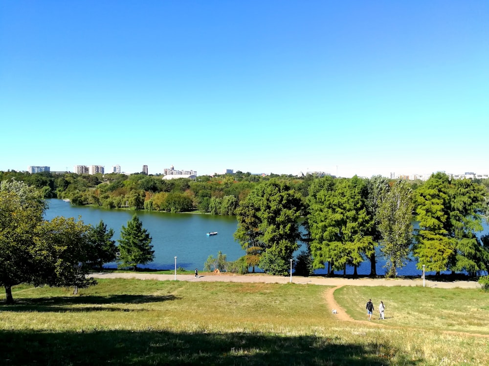 a lake surrounded by trees and a park bench