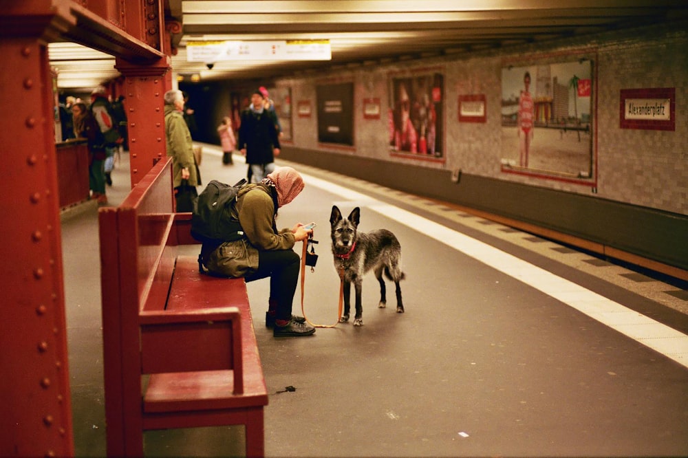 a man sitting on a bench next to a dog