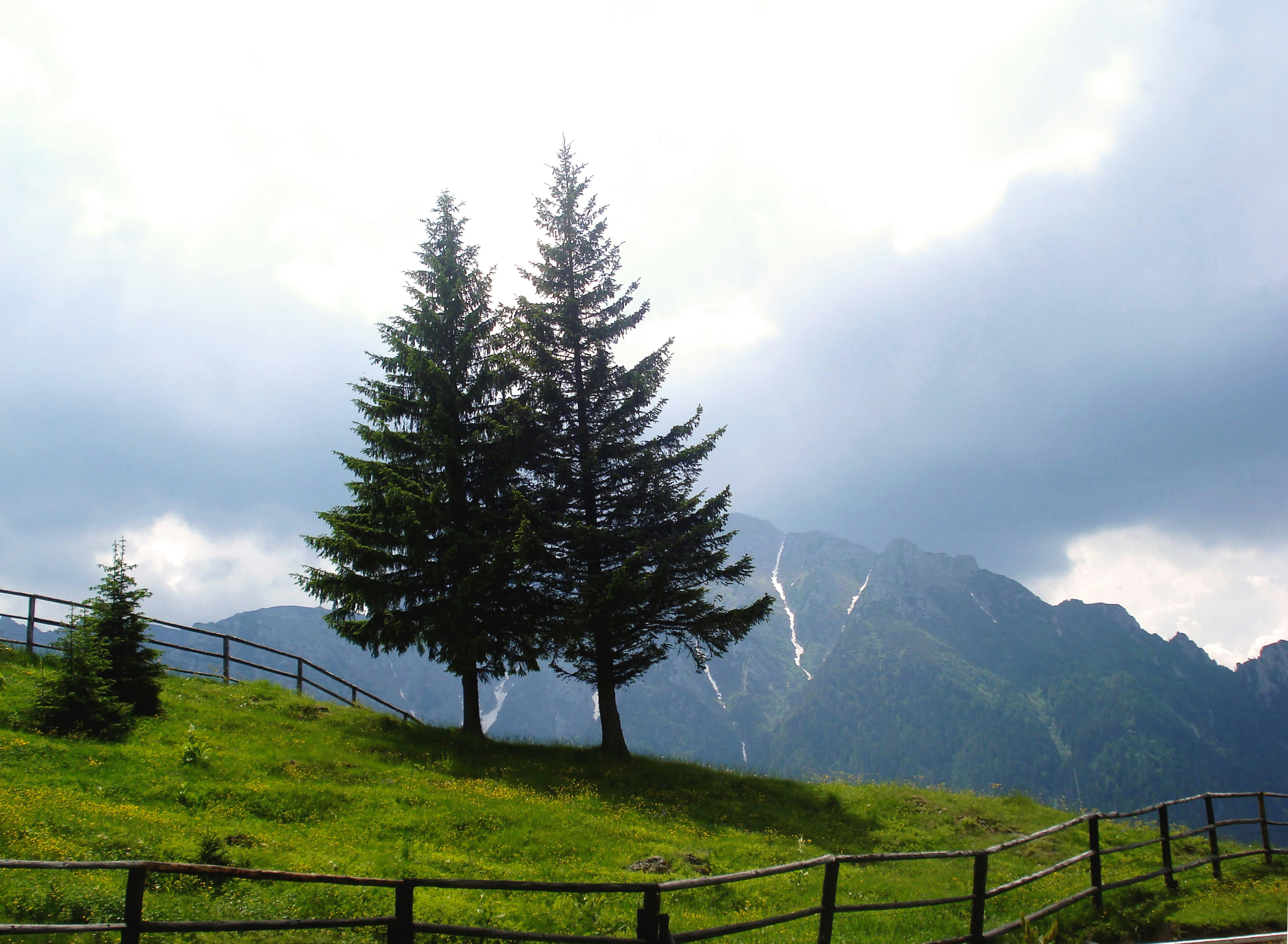 ein Holzzaun auf einem grasbewachsenen Hügel mit Bäumen