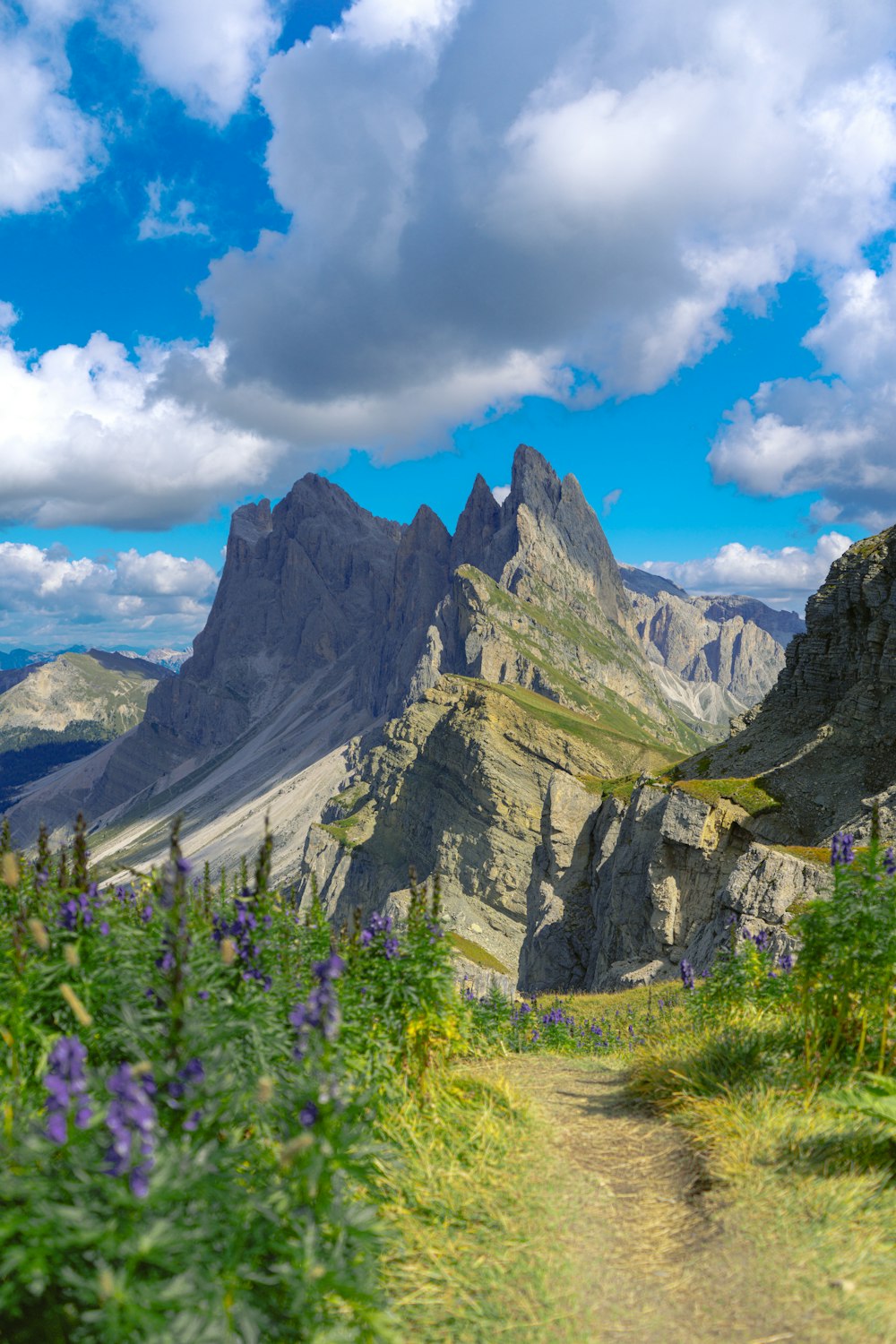 a dirt path leading to a mountain range