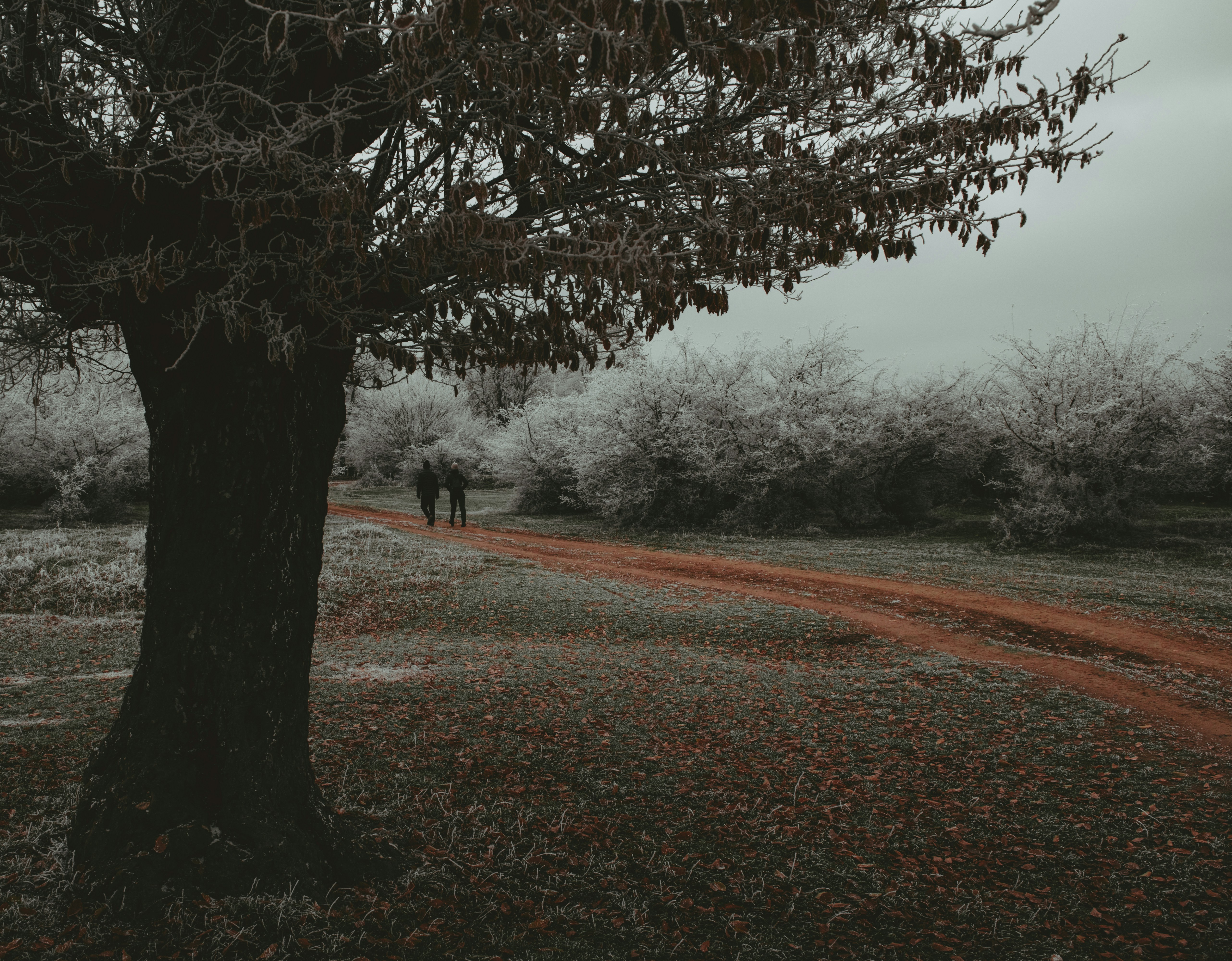 photo-1635680735190-99922c4bdc04?ixid=M3wxMjA3fDB8MXxzZWFyY2h8MTR8fGl6bWl0JTIwdHJhdmVzdGl8ZW58MHx8fHwxNzQ2NjU0MTI4fDA\u0026ixlib=rb-4.1.0