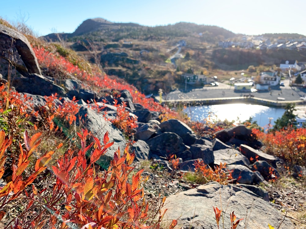 a view of a body of water from a hill