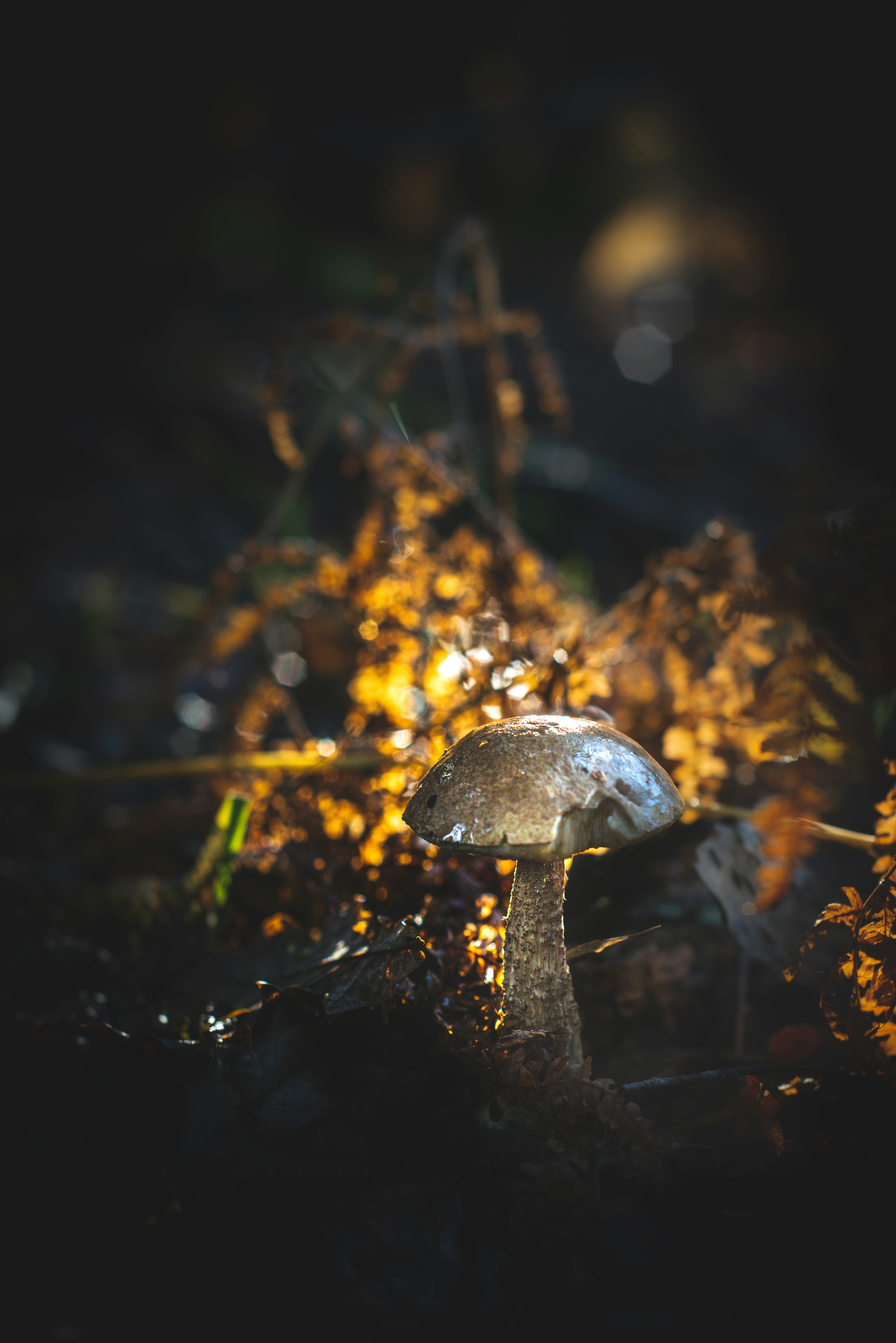 Photo by margaret_jaszowska