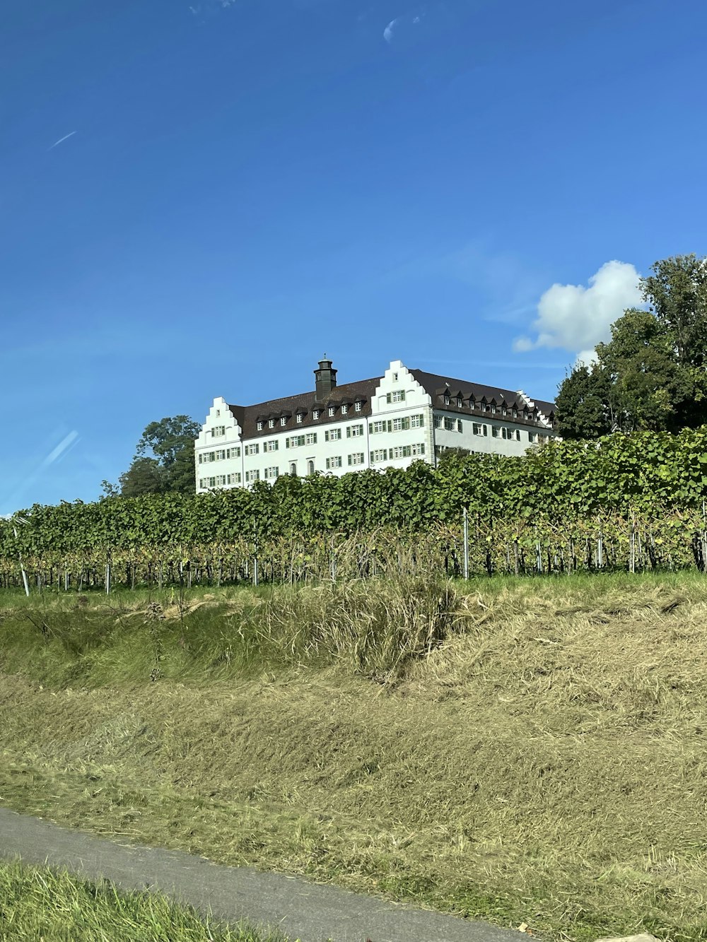 a large white house sitting on top of a lush green hillside