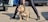 A muscular bulldog stands confidently on the ground while being held on a leash by a person. The setting appears to be an urban location with parked cars in the background. The bulldog's coat is a mix of light brown and white, and it appears to be calm and composed.