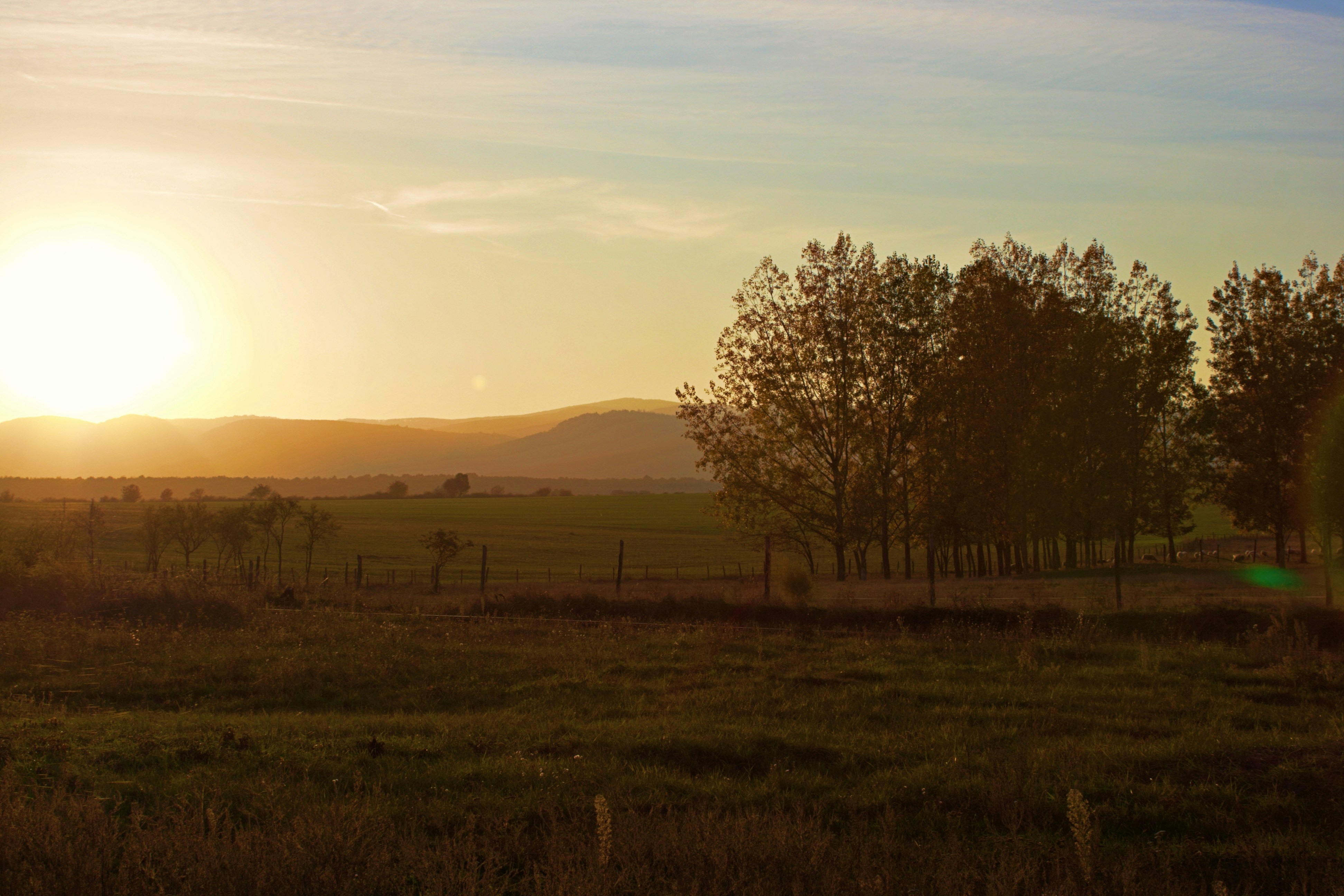 Photo by ruckel_daniel