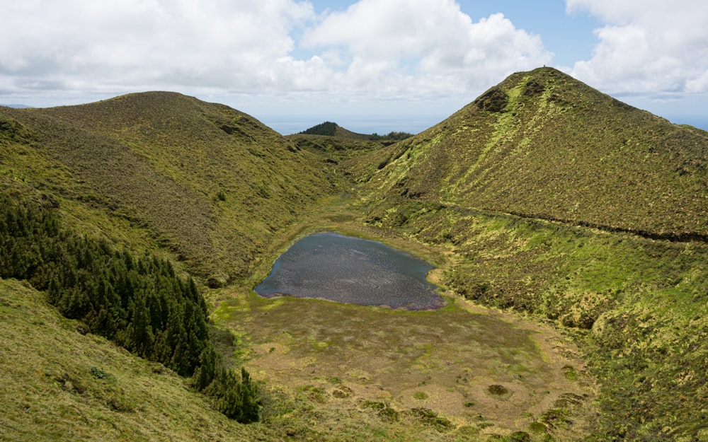 um pequeno lago no meio de uma área gramada