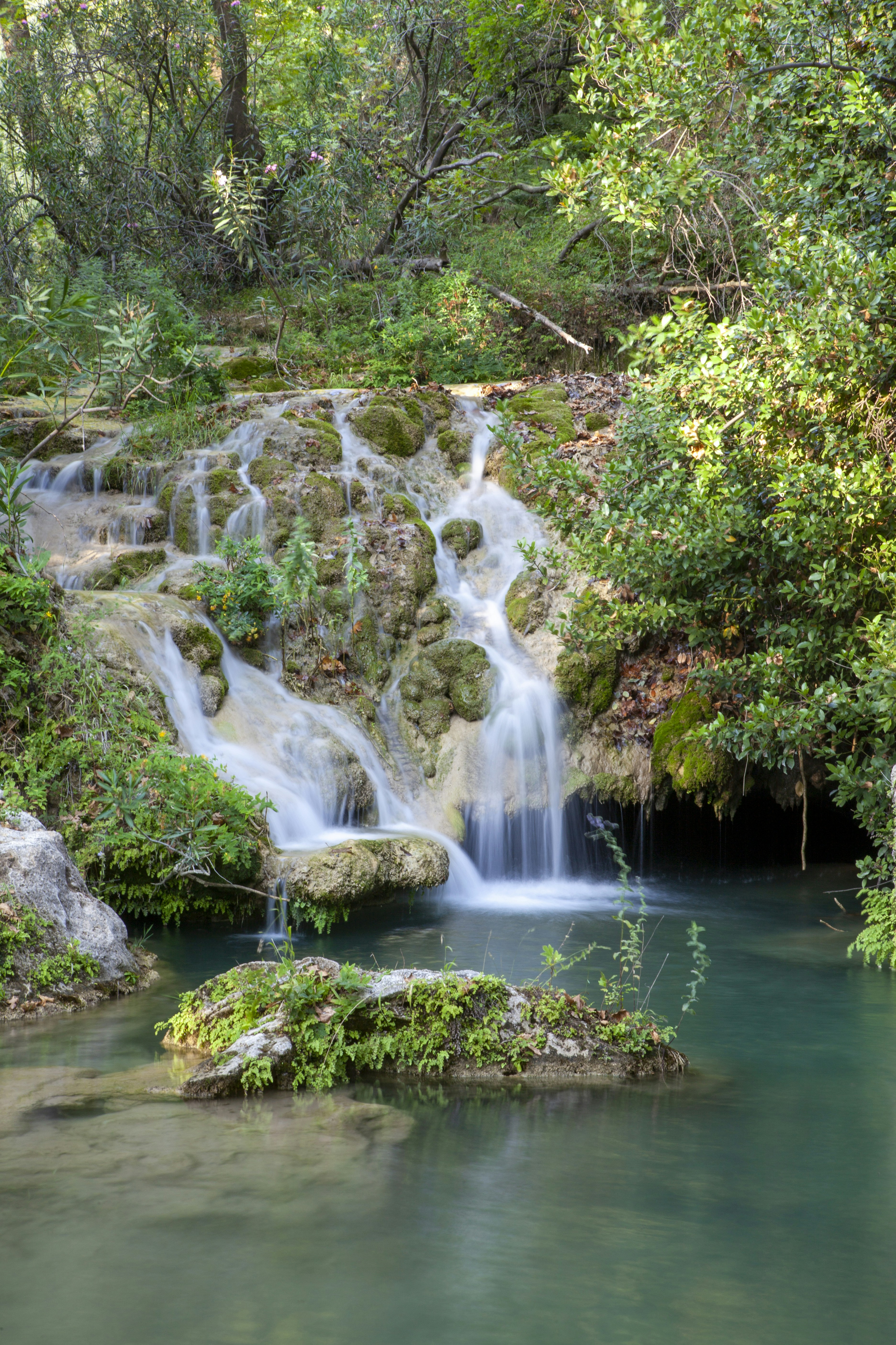 Une petite cascade au milieu d’une forêt photo – Image gratuite de ...