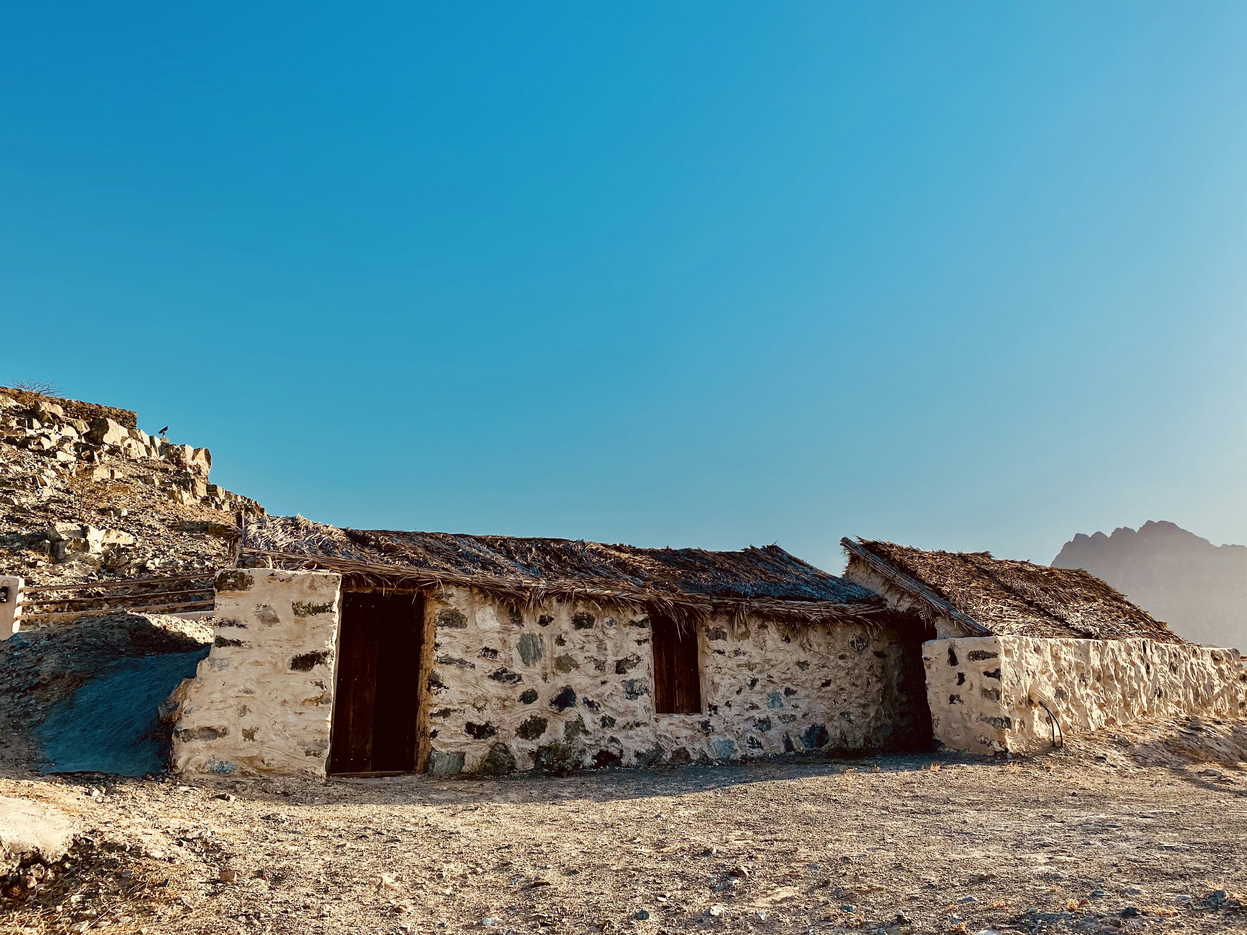 Photo by your_scorpion