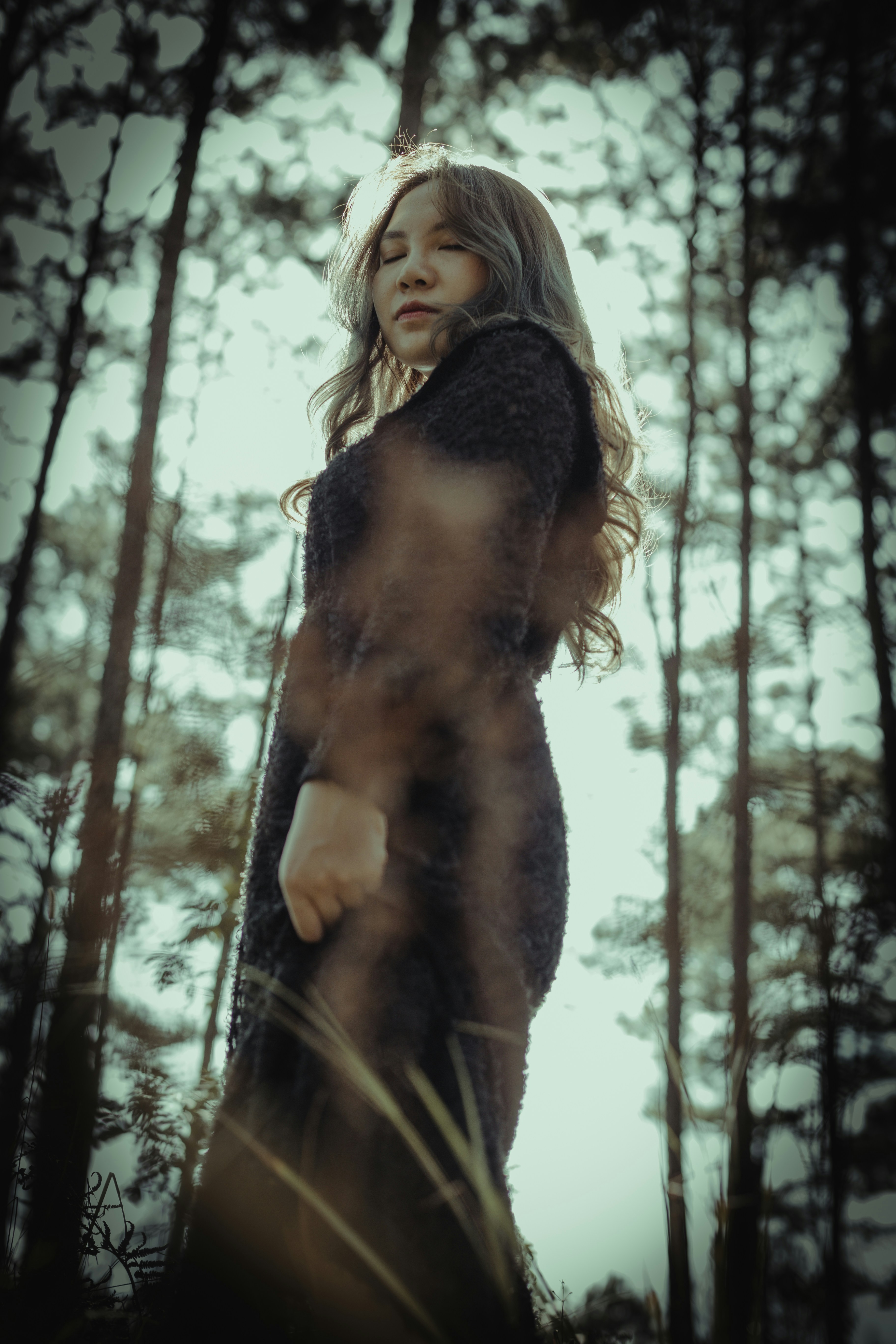 Photo by quangdieu195