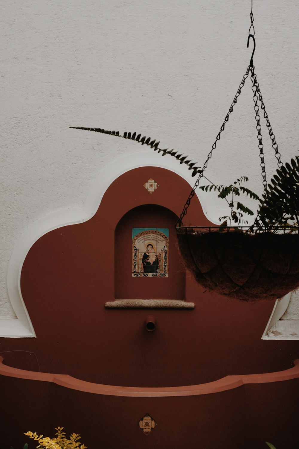 a potted plant hanging from a ceiling