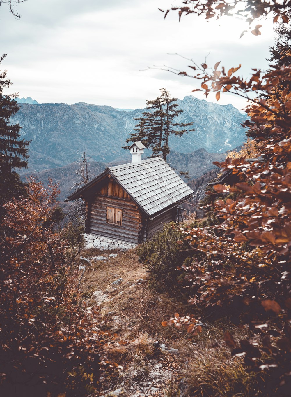 a small cabin in the middle of a forest