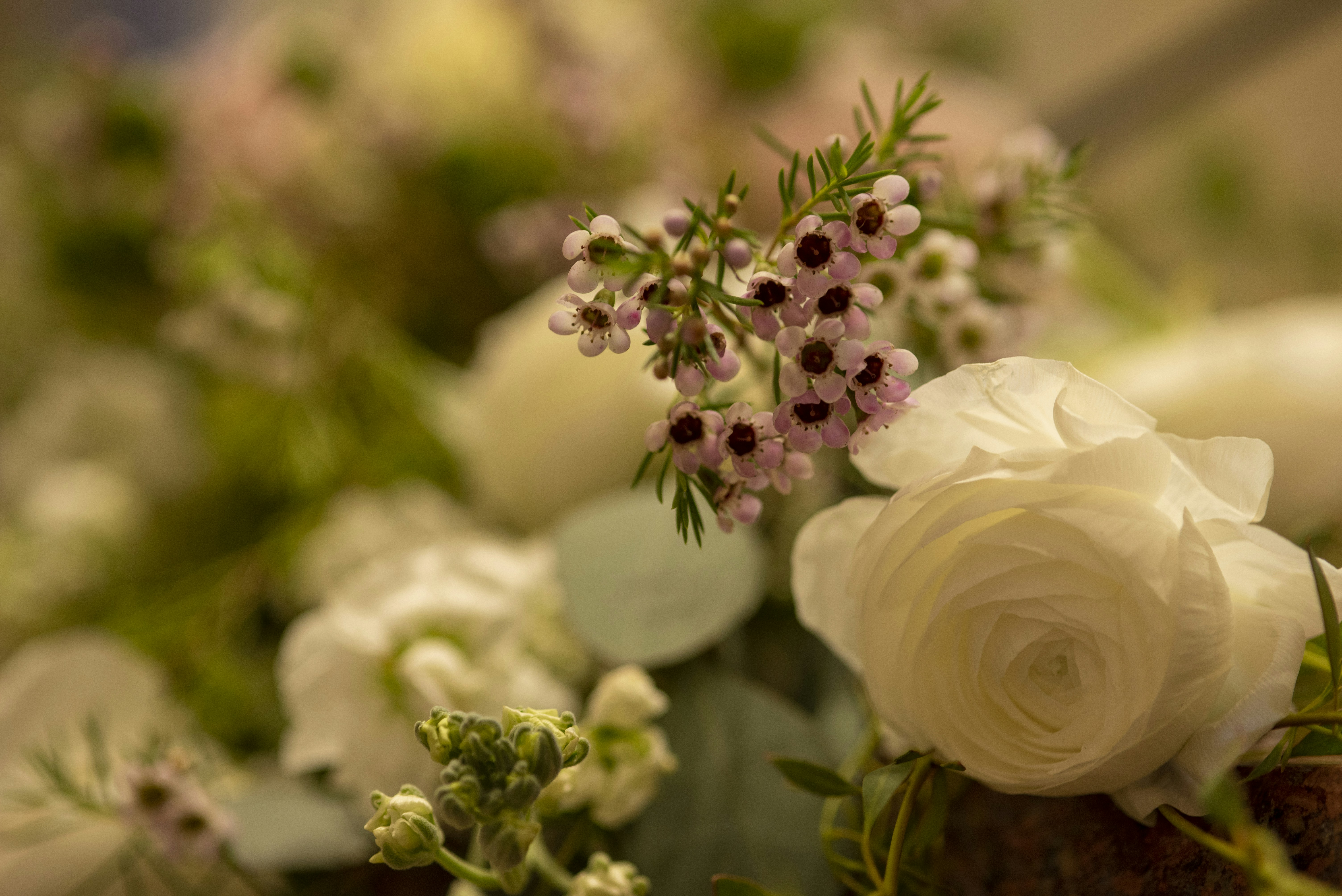 wedding flower wallpaper, wallpaper, Wedding Flowers on a Budget: Money-Saving Hacks 6