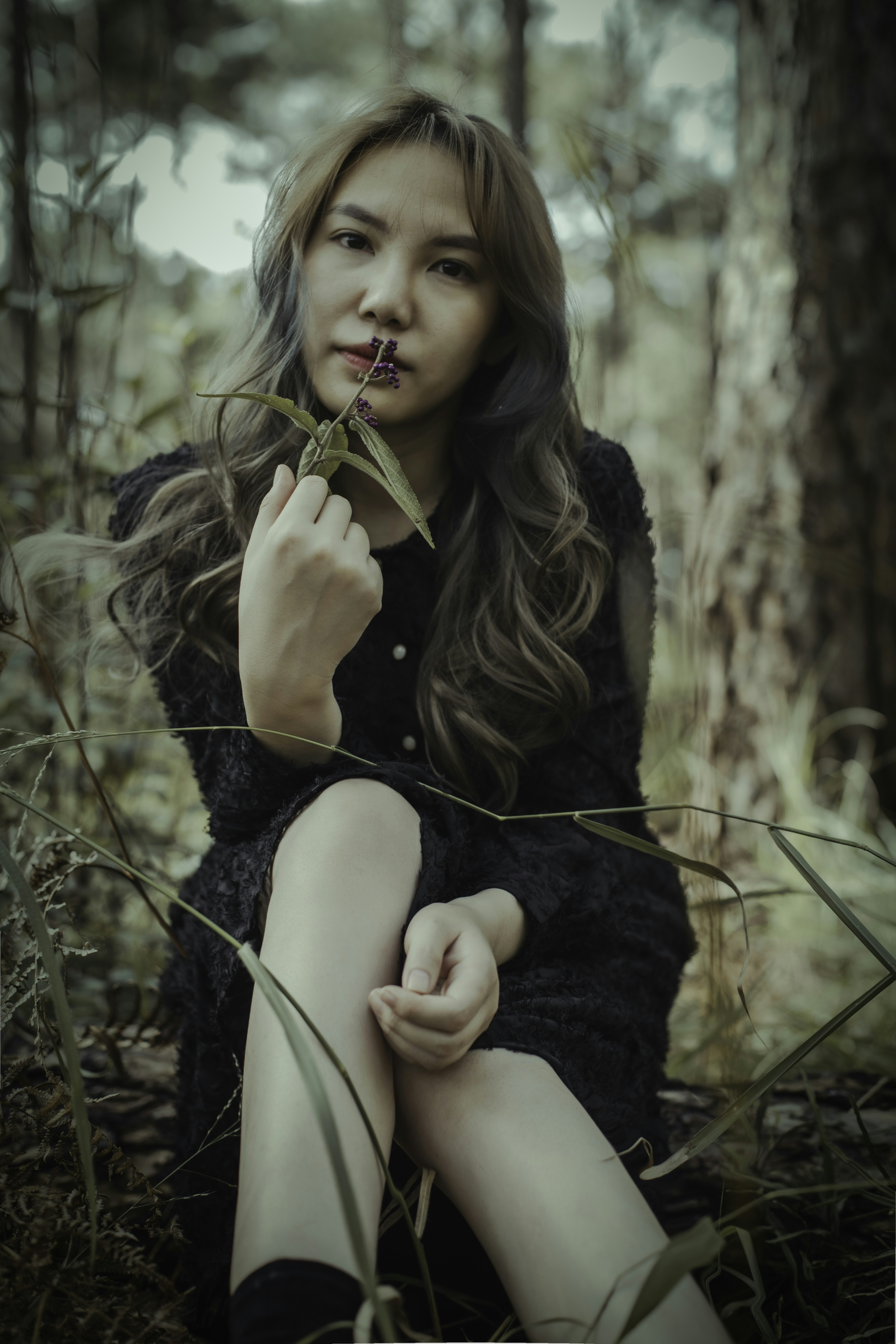 Photo by quangdieu195