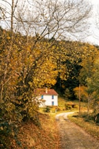 vigilance domicile